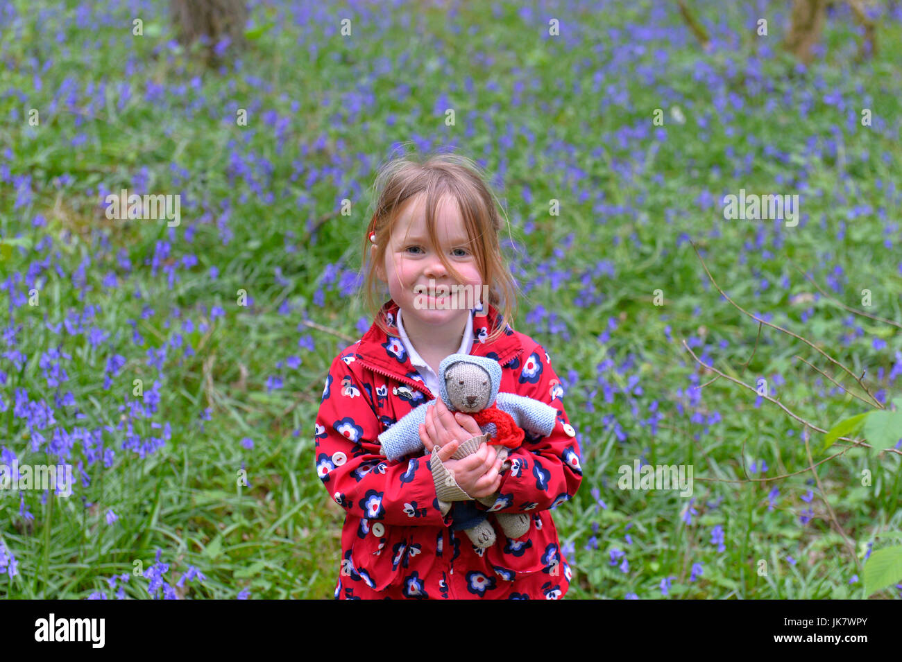 Three year old girl with soft toy in bluebell wood Stock Photo