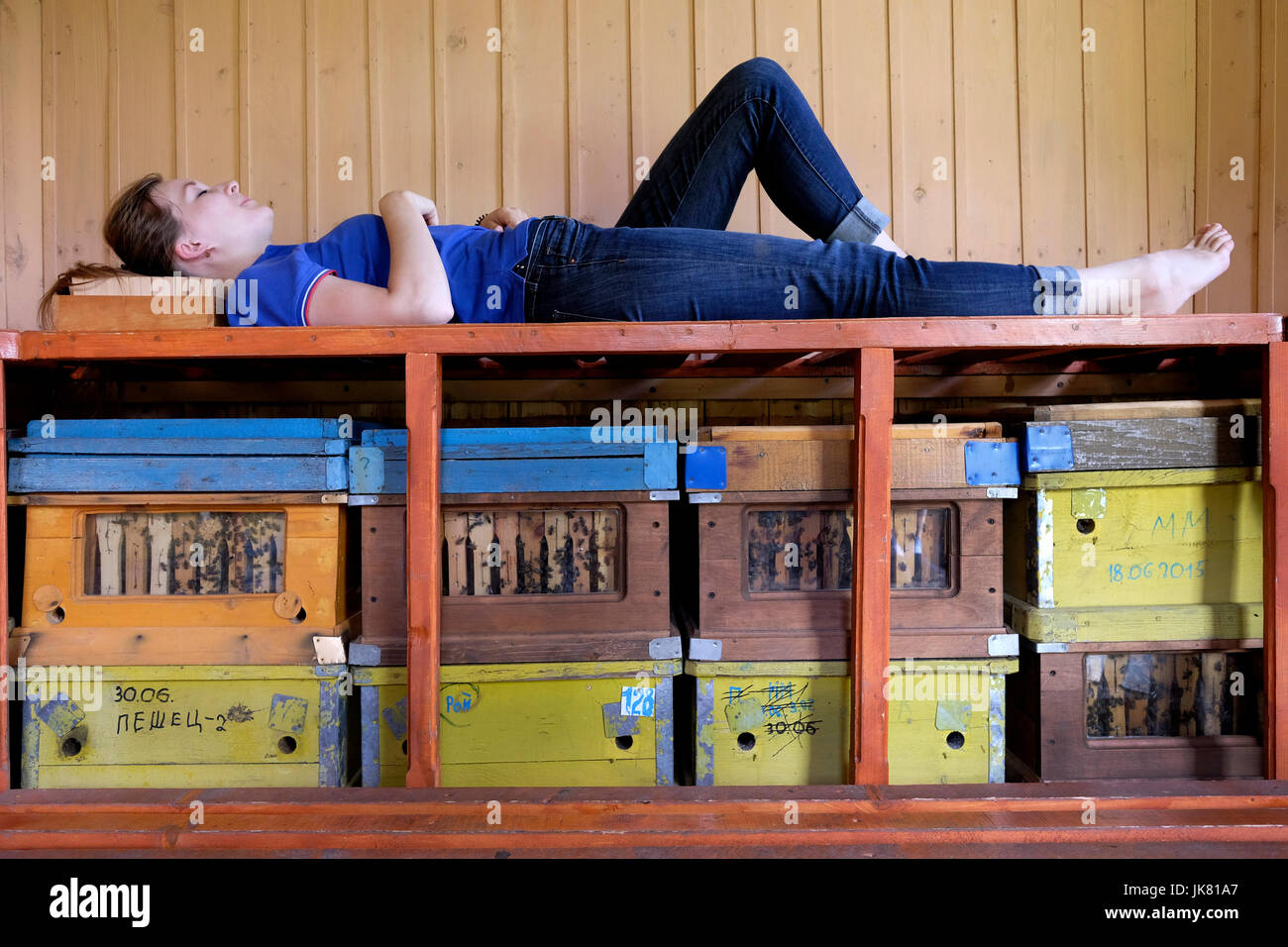 A young Siberian woman laying over a stack of wooden Langstroth hive with active honey bees in a Bee Therapy Hut in the mountainous region of SEZ TRT 'Biruzovaya Katun' located in Altai Krai a region in Western Siberia, Russia. Beehive air is highly-ionized and clean, which has been shown to benefit the lungs and respiratory system as well as have a calming effect on the mind. Stock Photo