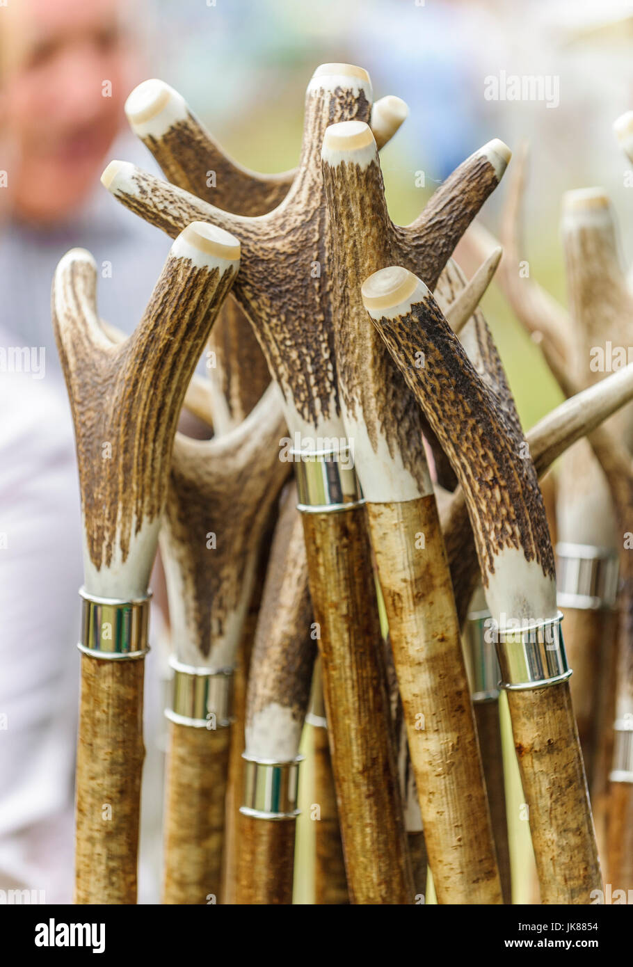 Walking Sticks For Sale High Resolution Stock Photography and Images