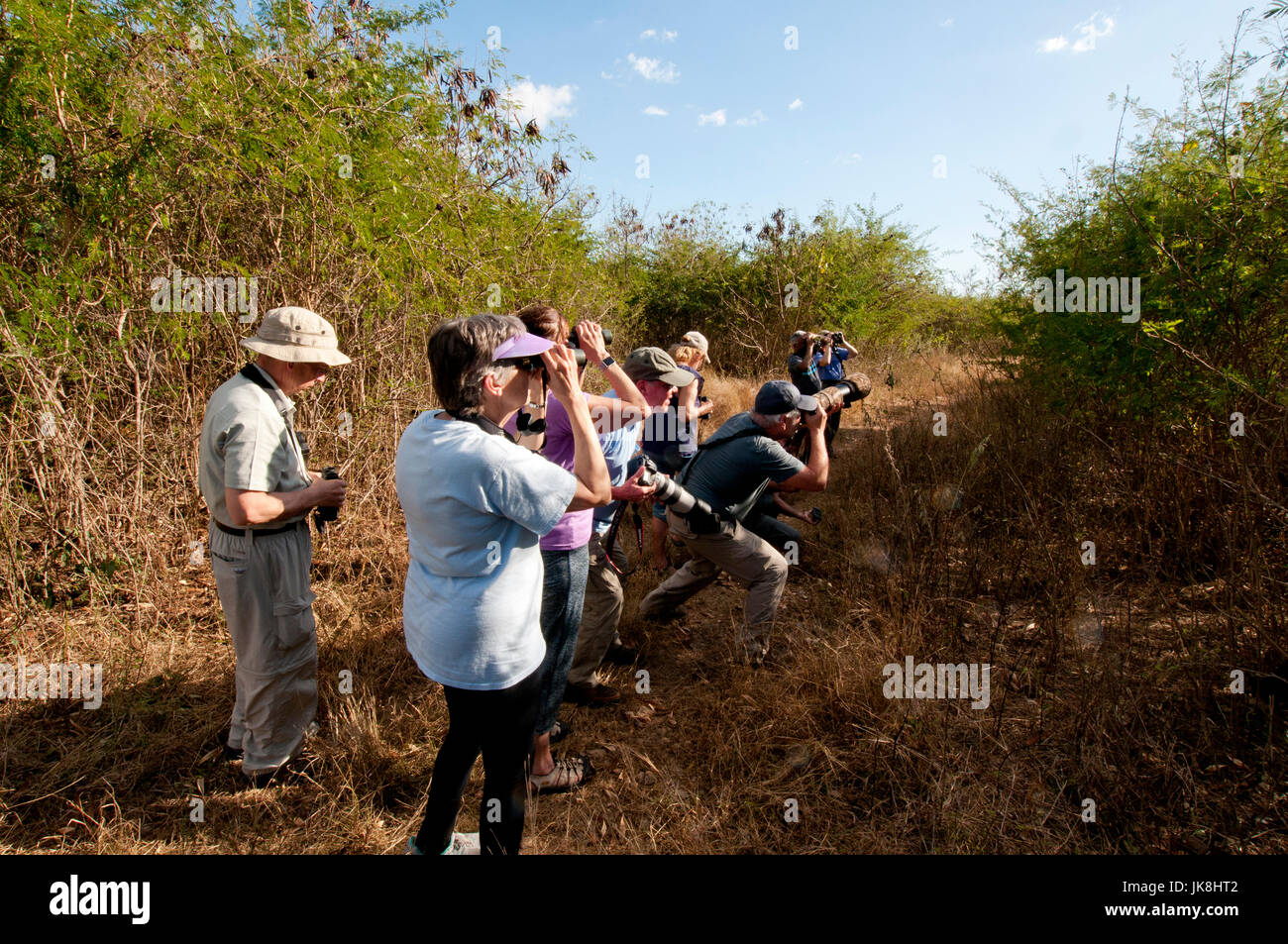 Birdwatching in Cuba (Carribean Conservation Trust Cuba Bird Survey 2017) Stock Photo