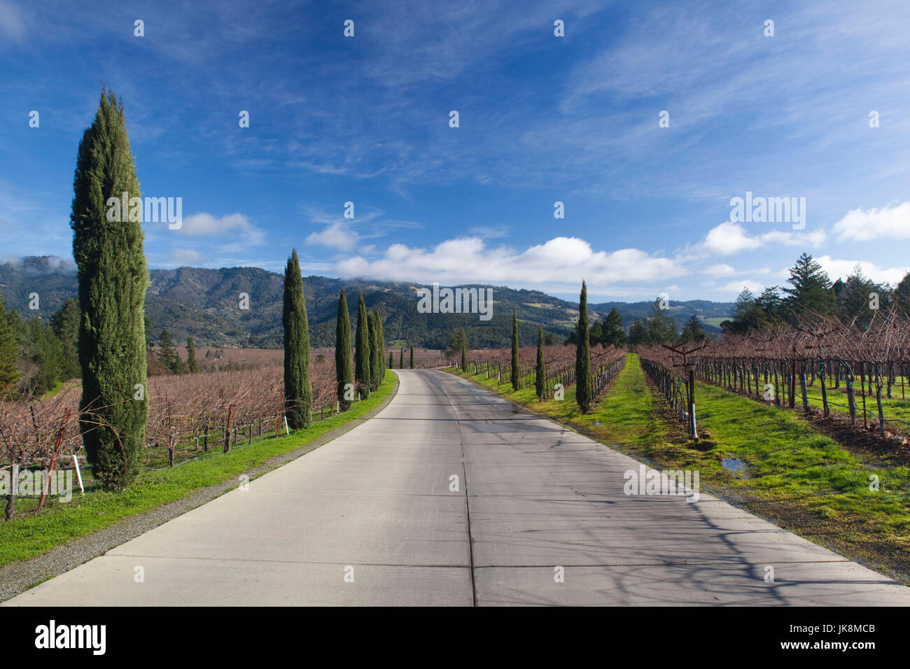 USA, California, Northern California, Napa Valley Wine Country, Calistoga, winery road Stock Photo