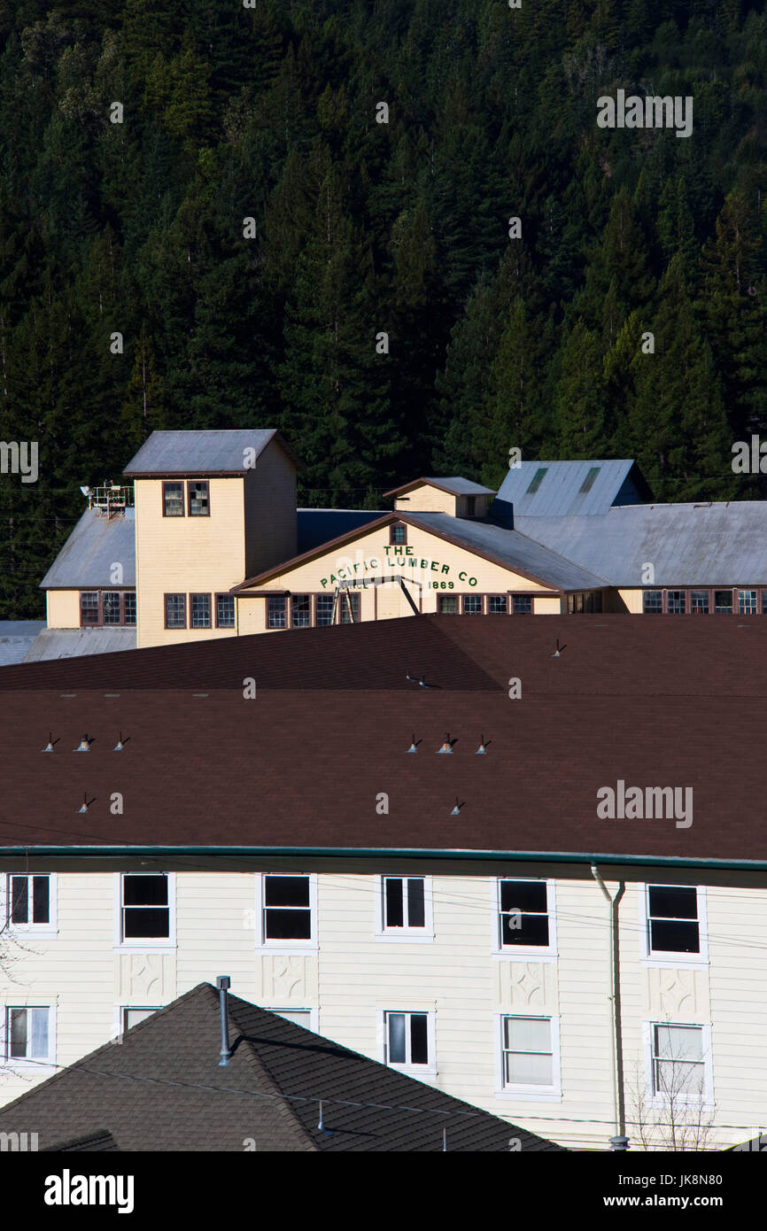 USA, California, Northern California, North Coast, Scotia, Pacific