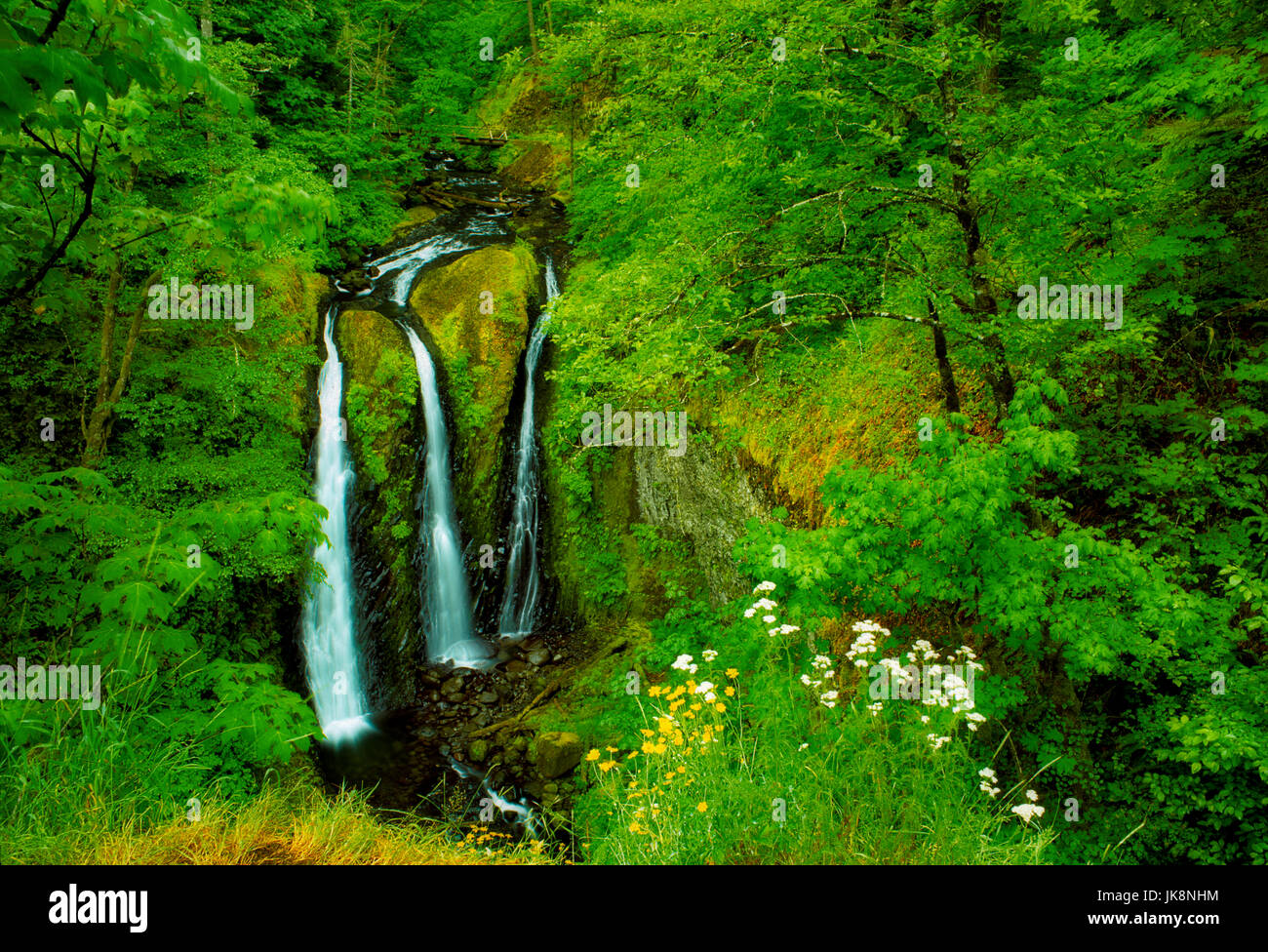 Triple Falls. Columbia River Gorge National Scenic Area, Oregon. Stock Photo