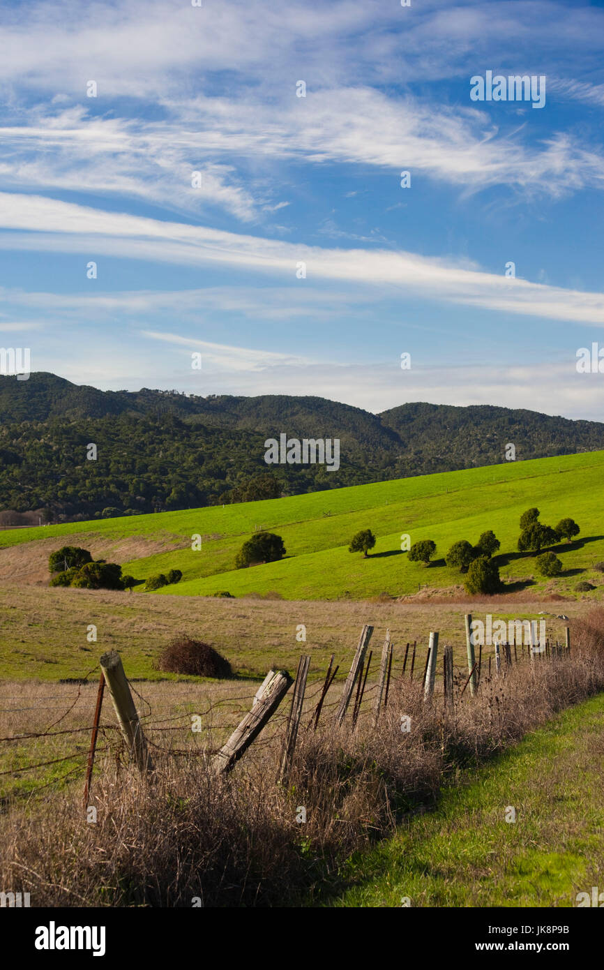 USA, California, Northern California, North Coast, Tomales Bayarea