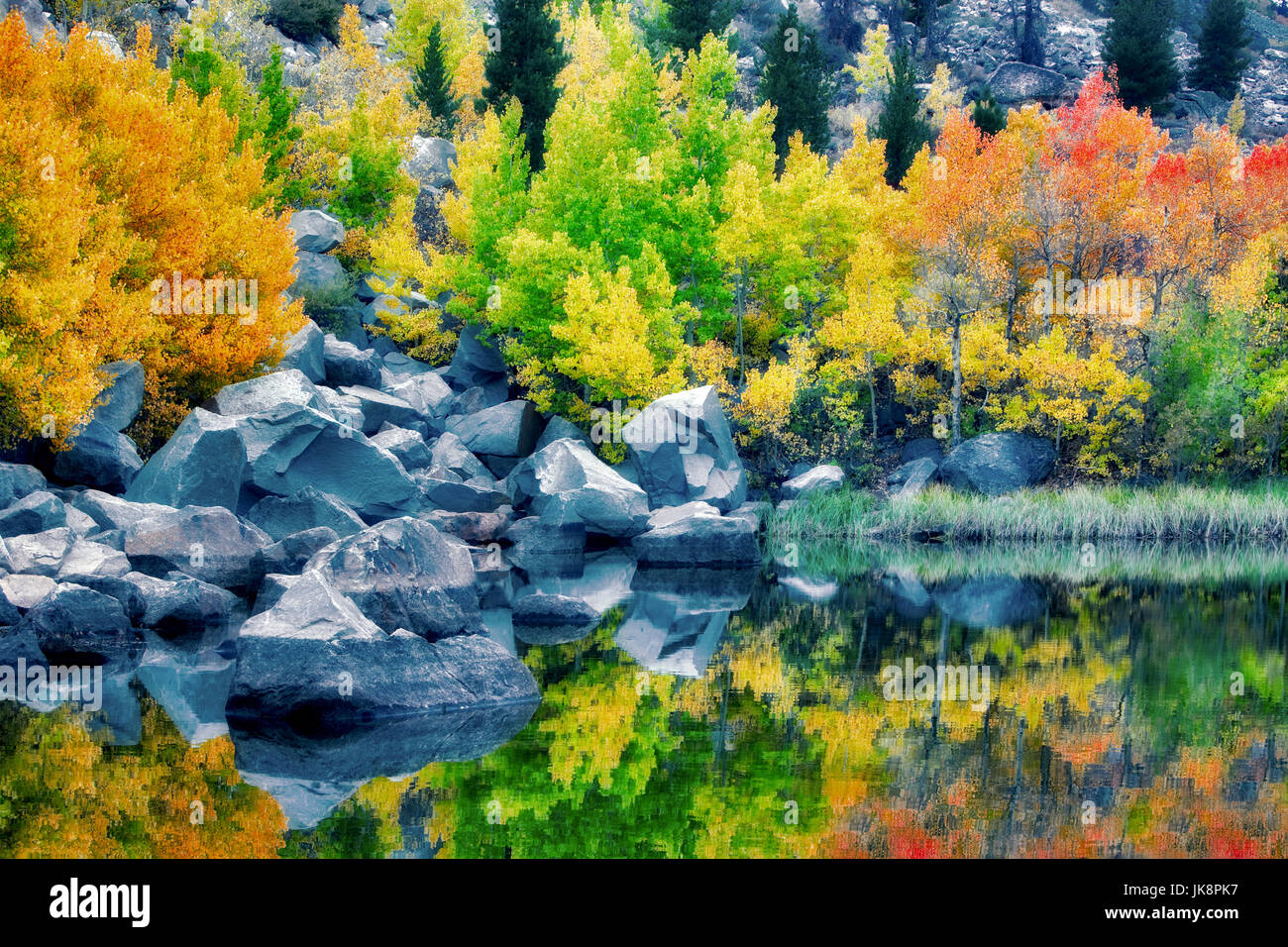 Cardinal Pond with fall colored aspens. Bishop Canyon. California Stock Photo
