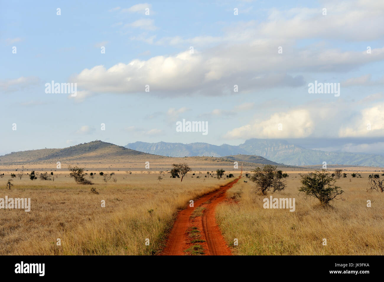 Savannah landscape in the National park in Kenya, Africa Stock Photo