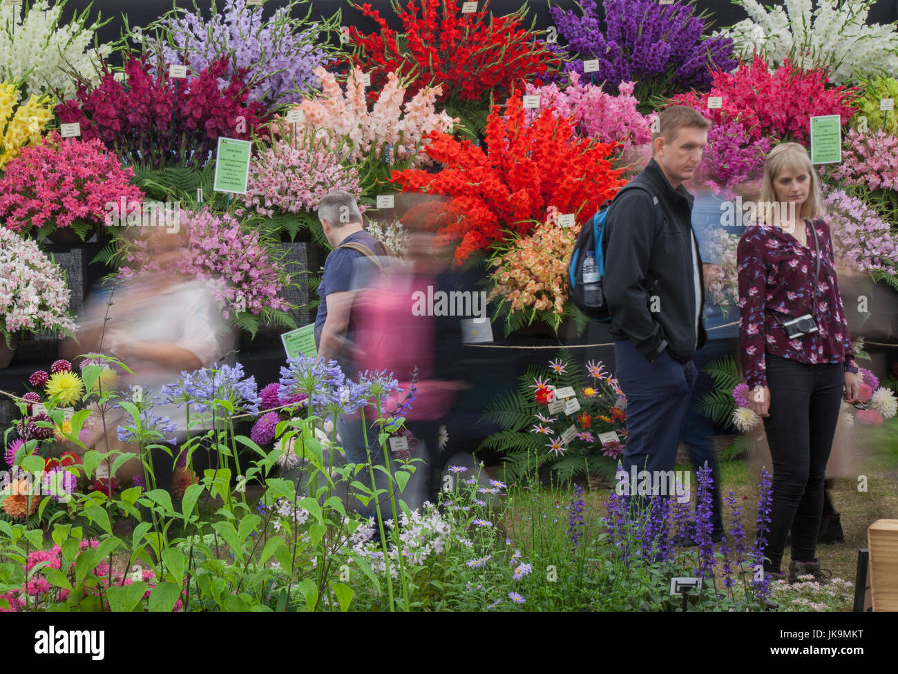 2017. Tatton Park Flower show., Knutsford, UK Stock Photo Alamy