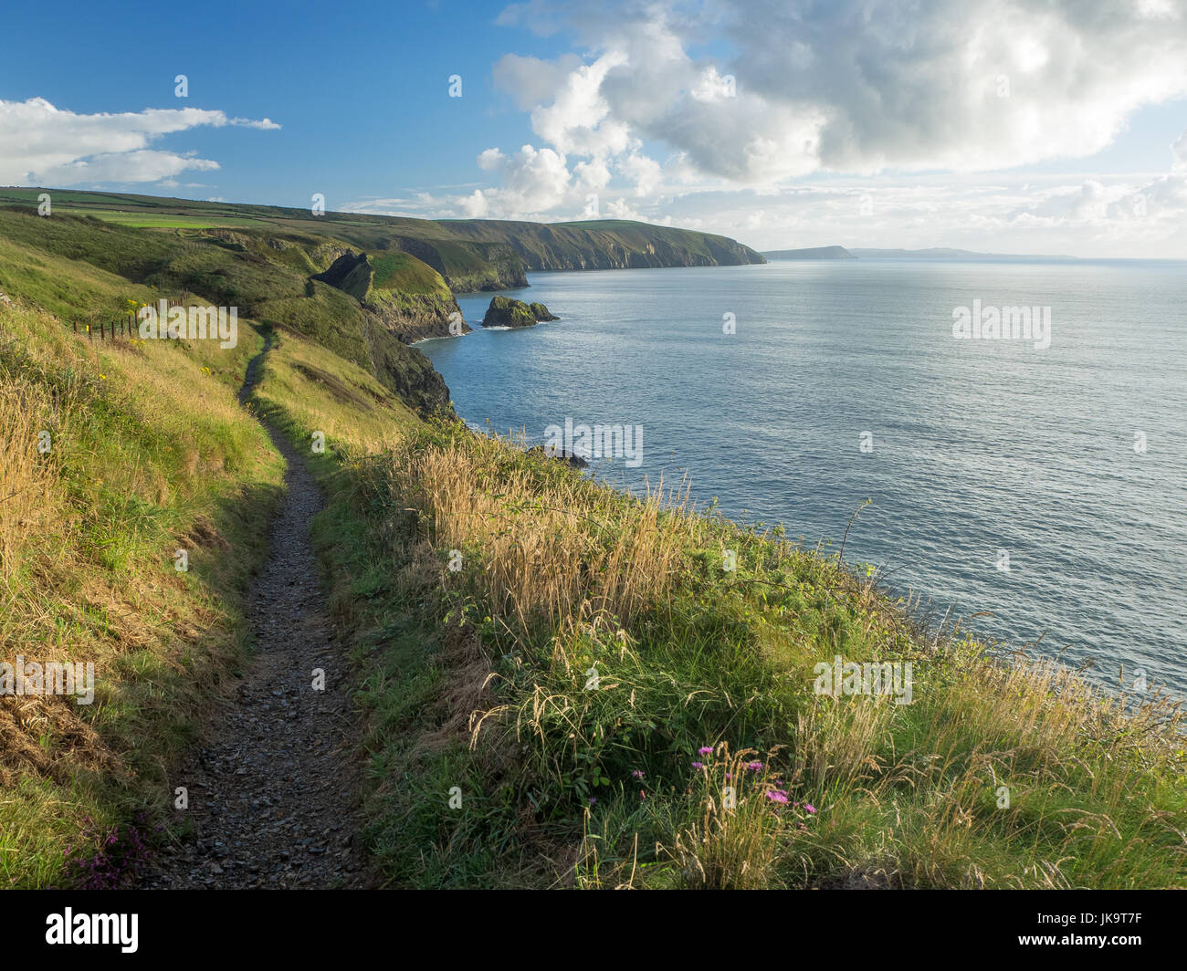 Pembrokeshire Coastal Path, Wales Stock Photo - Alamy