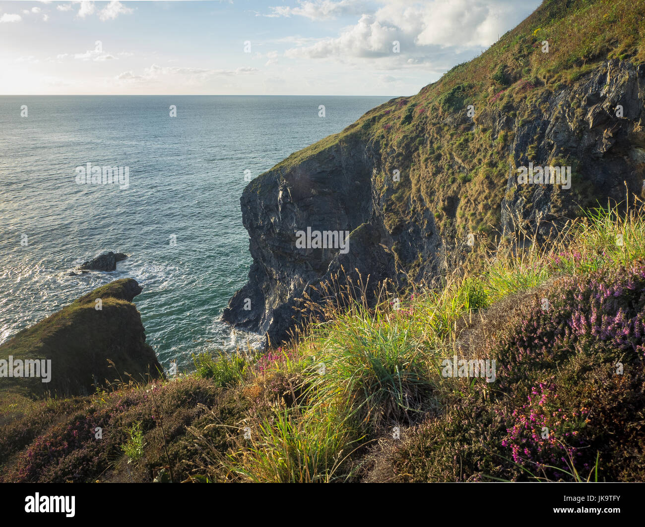 Pembrokeshire Coastal Path, Wales Stock Photo - Alamy