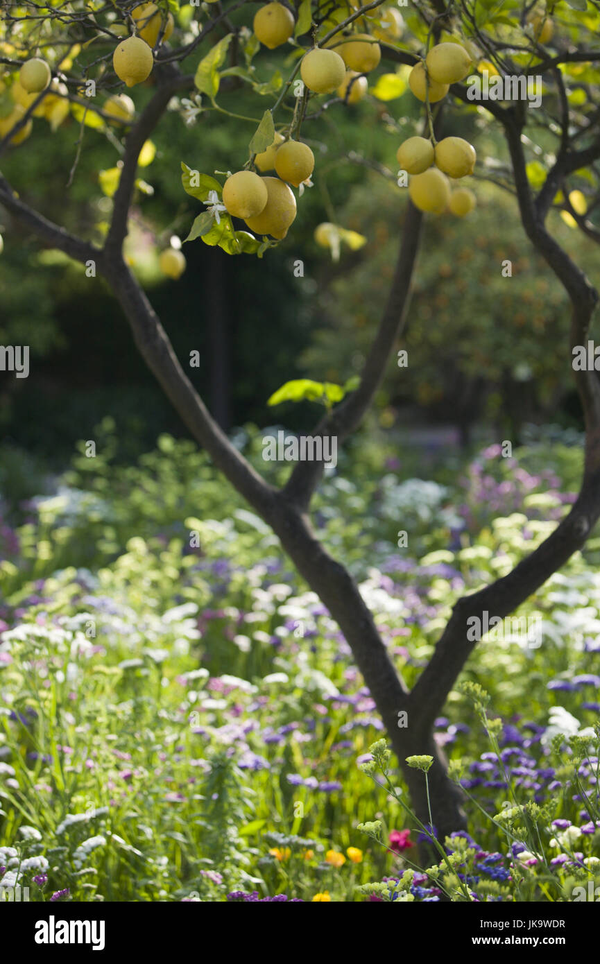 Italien, Insel Sizilien, Taormina, San Domenico Palace Hotel, Garten