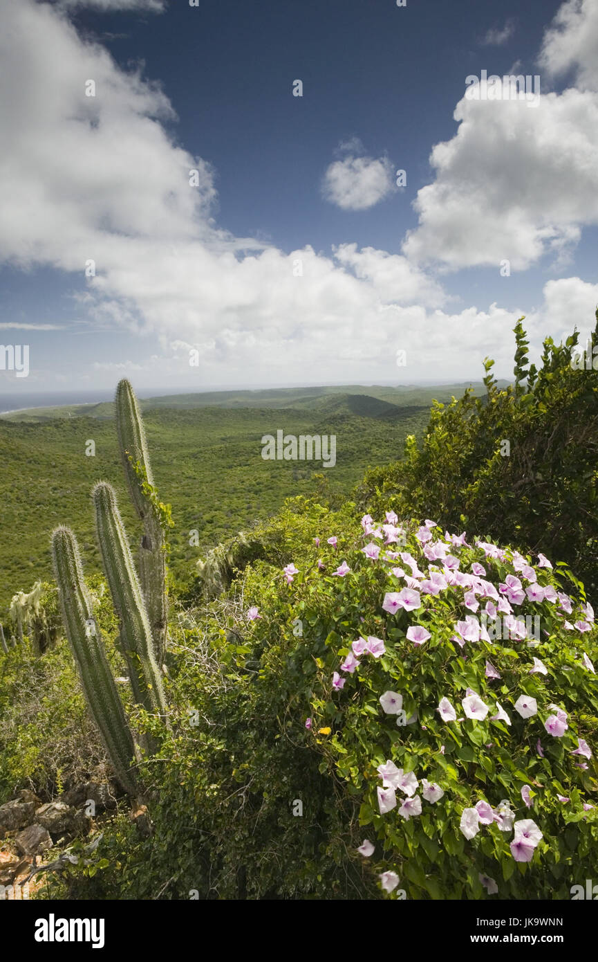 Curacao Nordk ste Christoffel National Park Landschaft Natur Boka curacao-nordk-ste-christoffel-national-park-landschaft-natur-boka