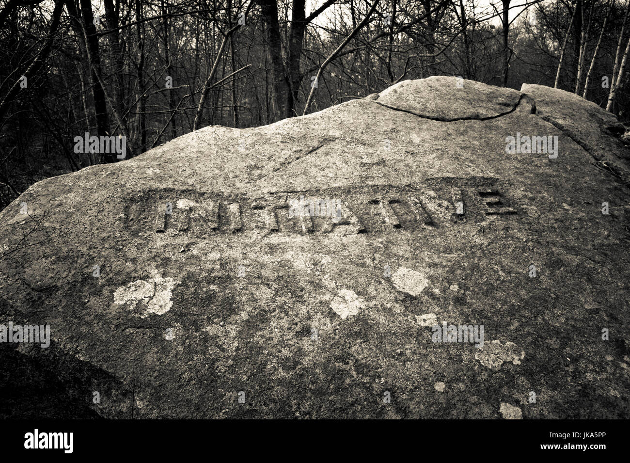 Dogtown massachusetts hires stock photography and images Alamy