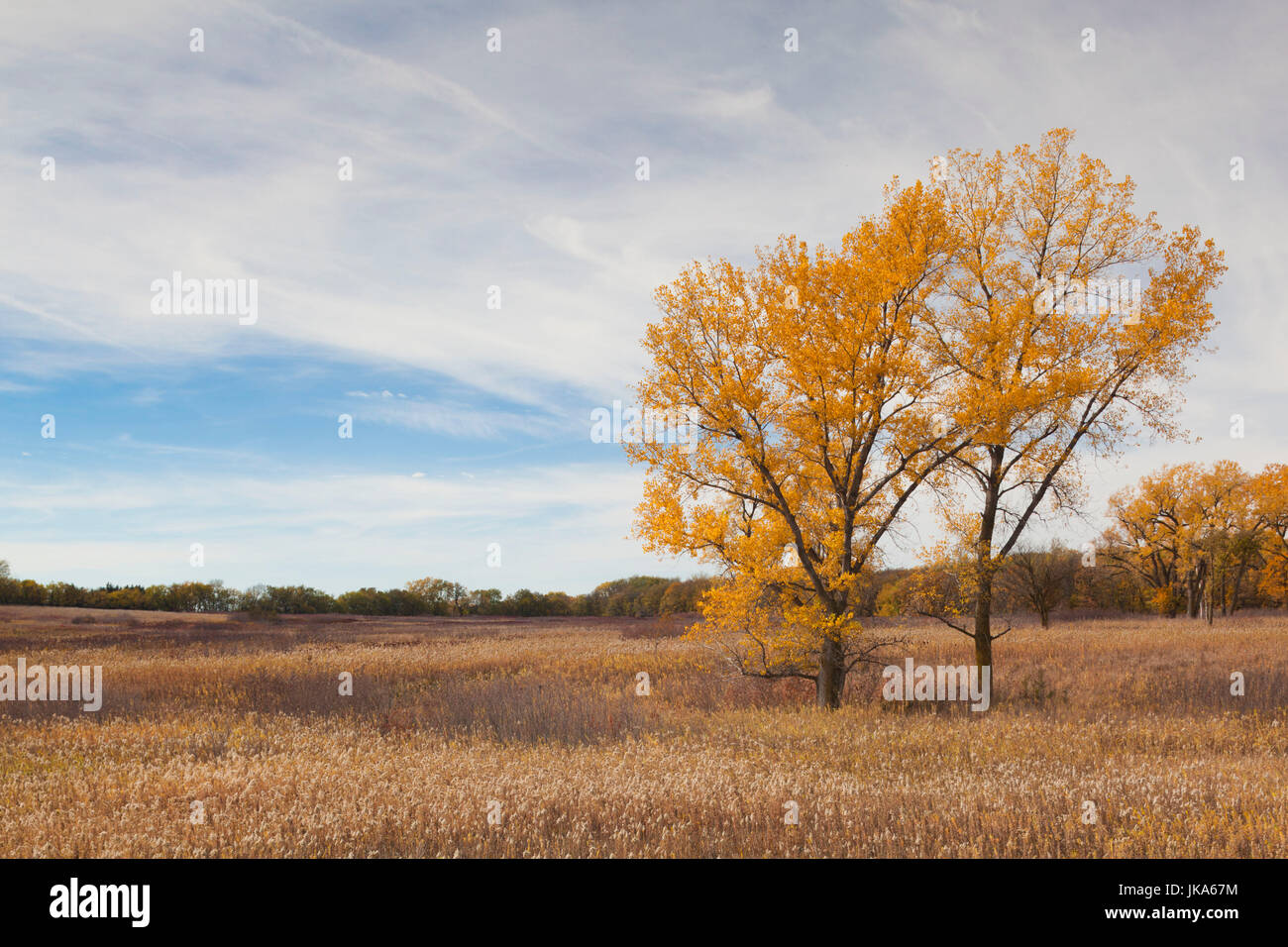 USA Nebraska Beatrice Homestead National Monument of America