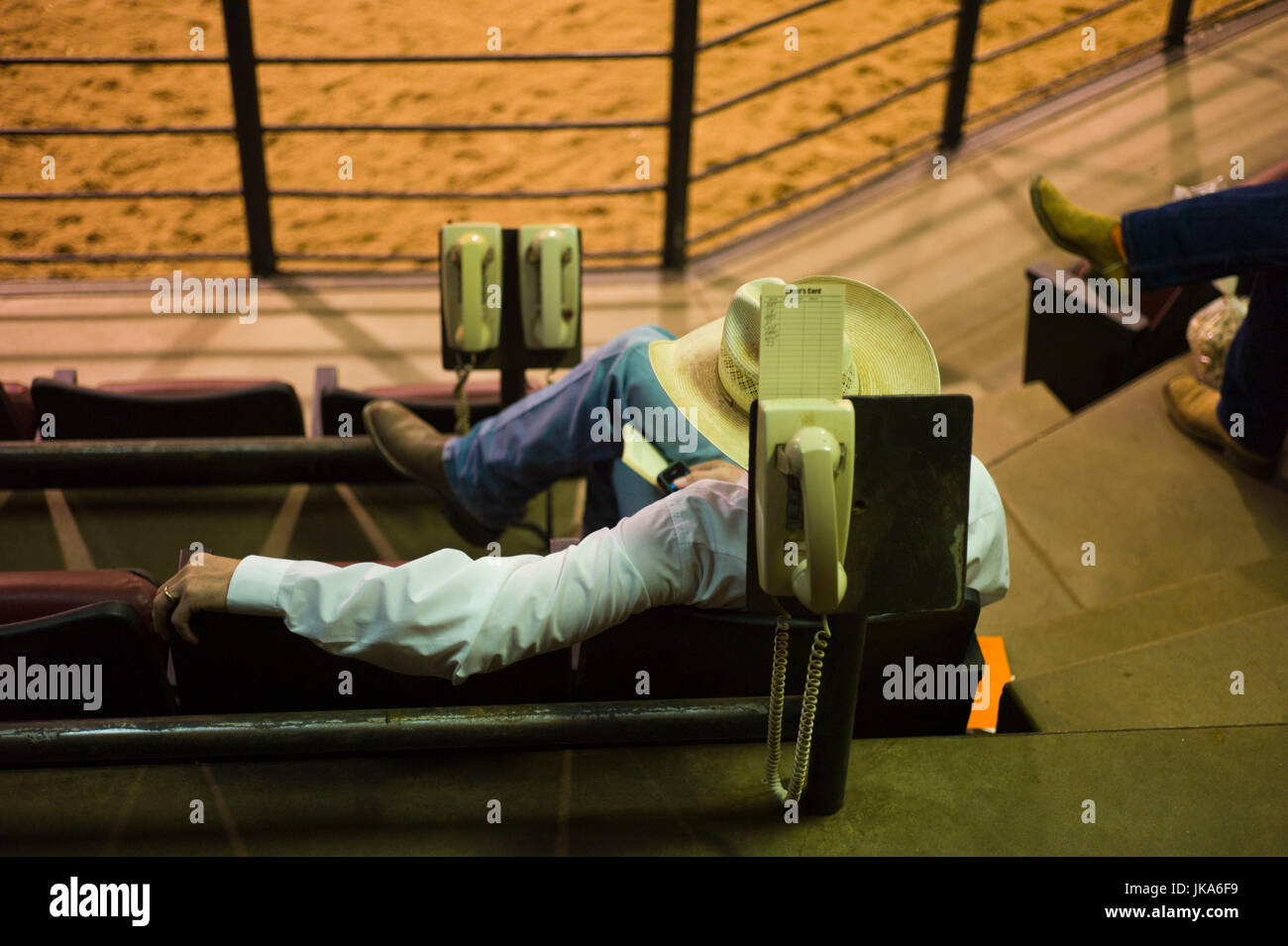 Livestock auction usa hires stock photography and images Alamy