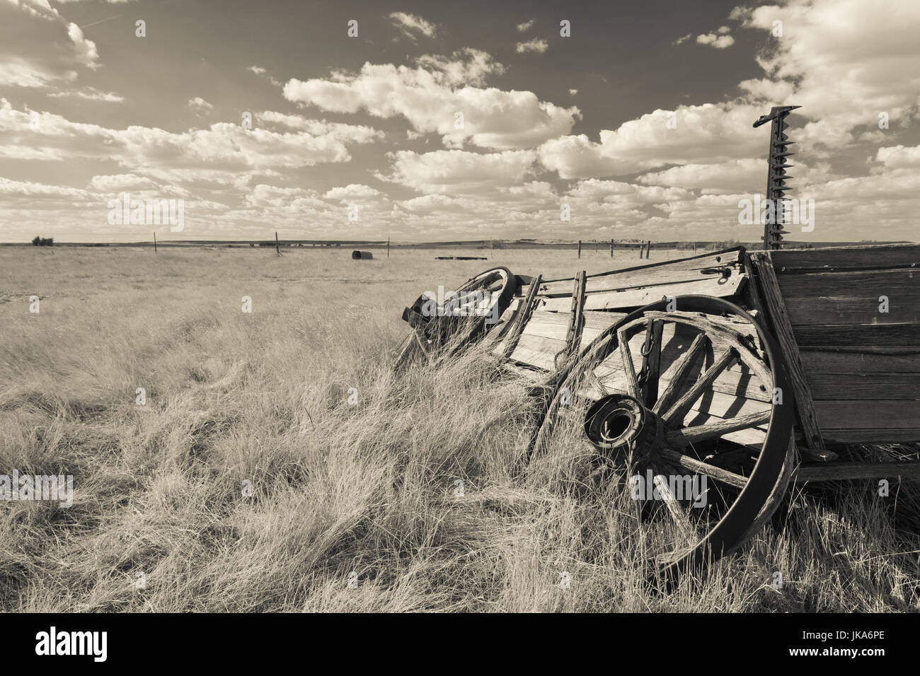 USA, South Dakota, Cactus Flat, Prairie Homestead, old wagon Stock Photo