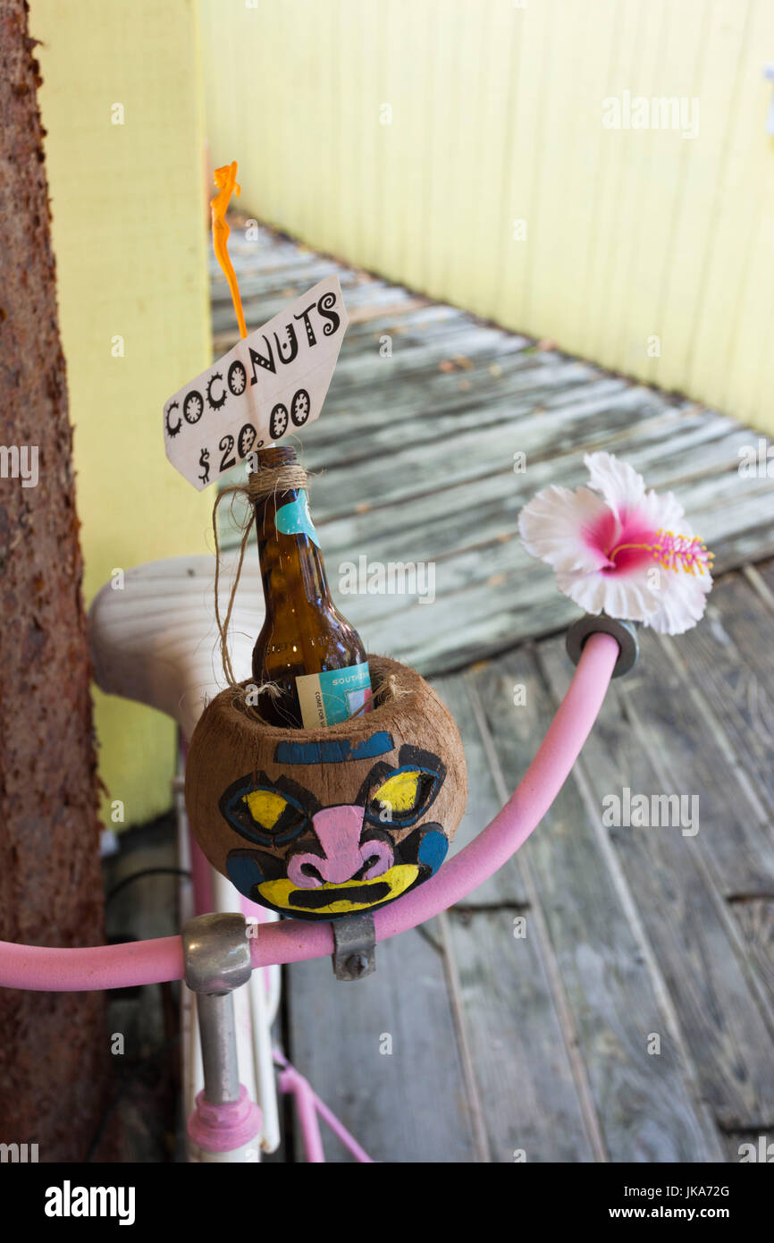 Coconut bicycle cup 2025 holder
