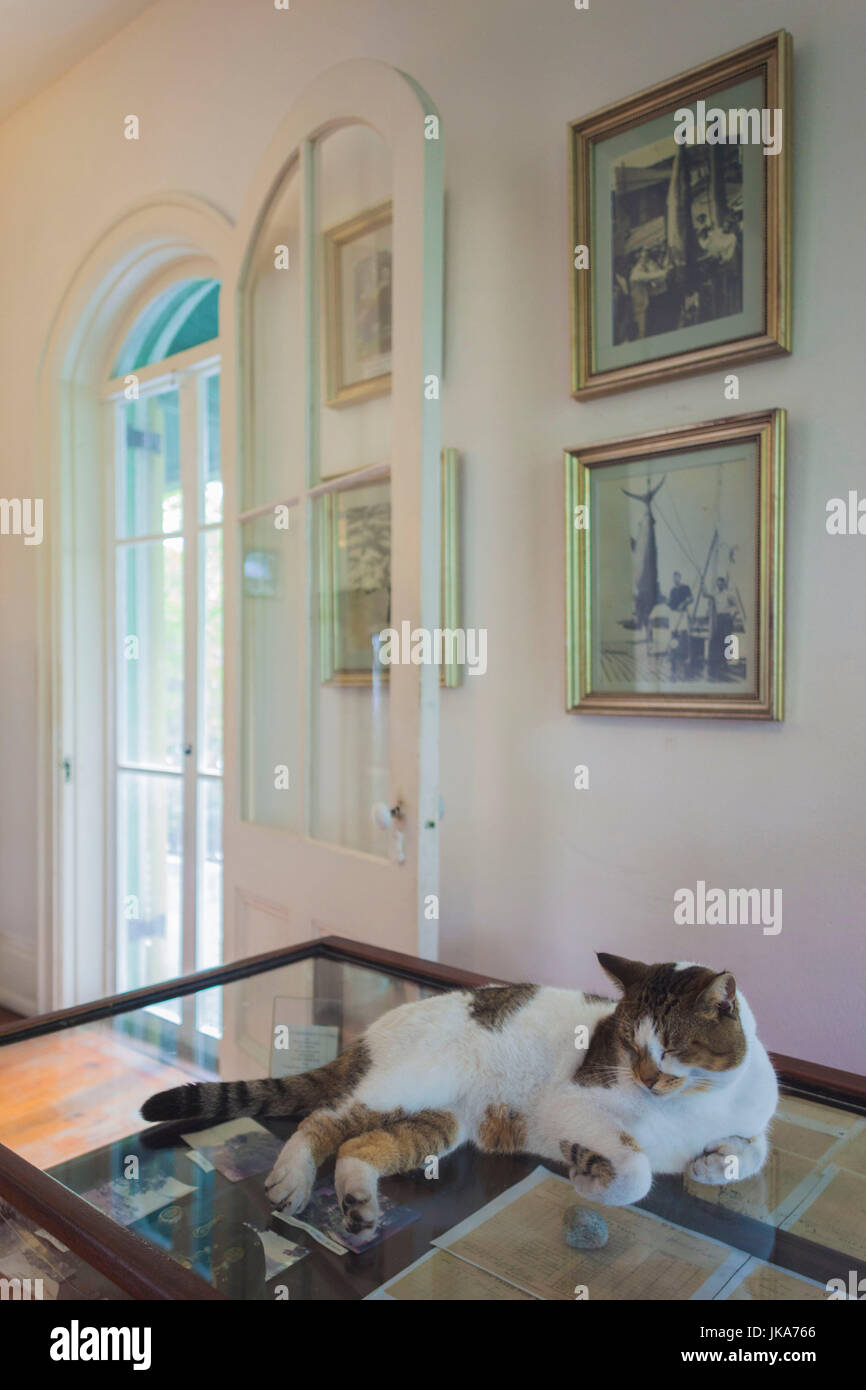 USA, Florida, Florida Keys, Key West, Hemingway House, former residence