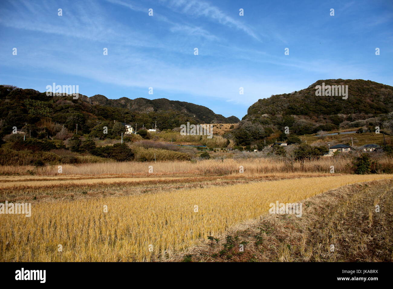 The fields of southern Chiba Prefecture, south of Mt. Nokogiri, the home of two great stone Buddhas (Daibutsu) Stock Photo