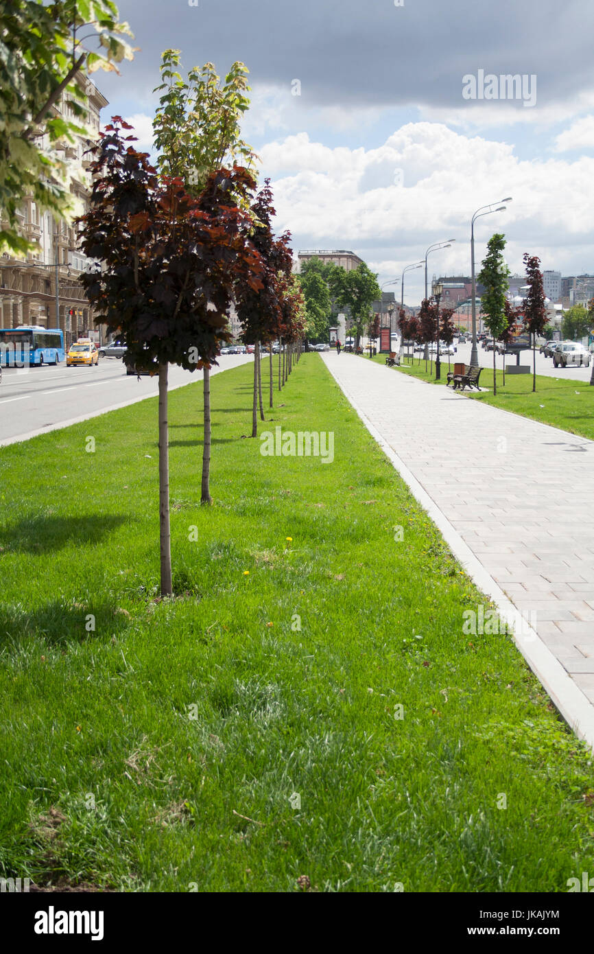 City street sidewalk alley with grass and trees. background, city, nature  Stock Photo - Alamy