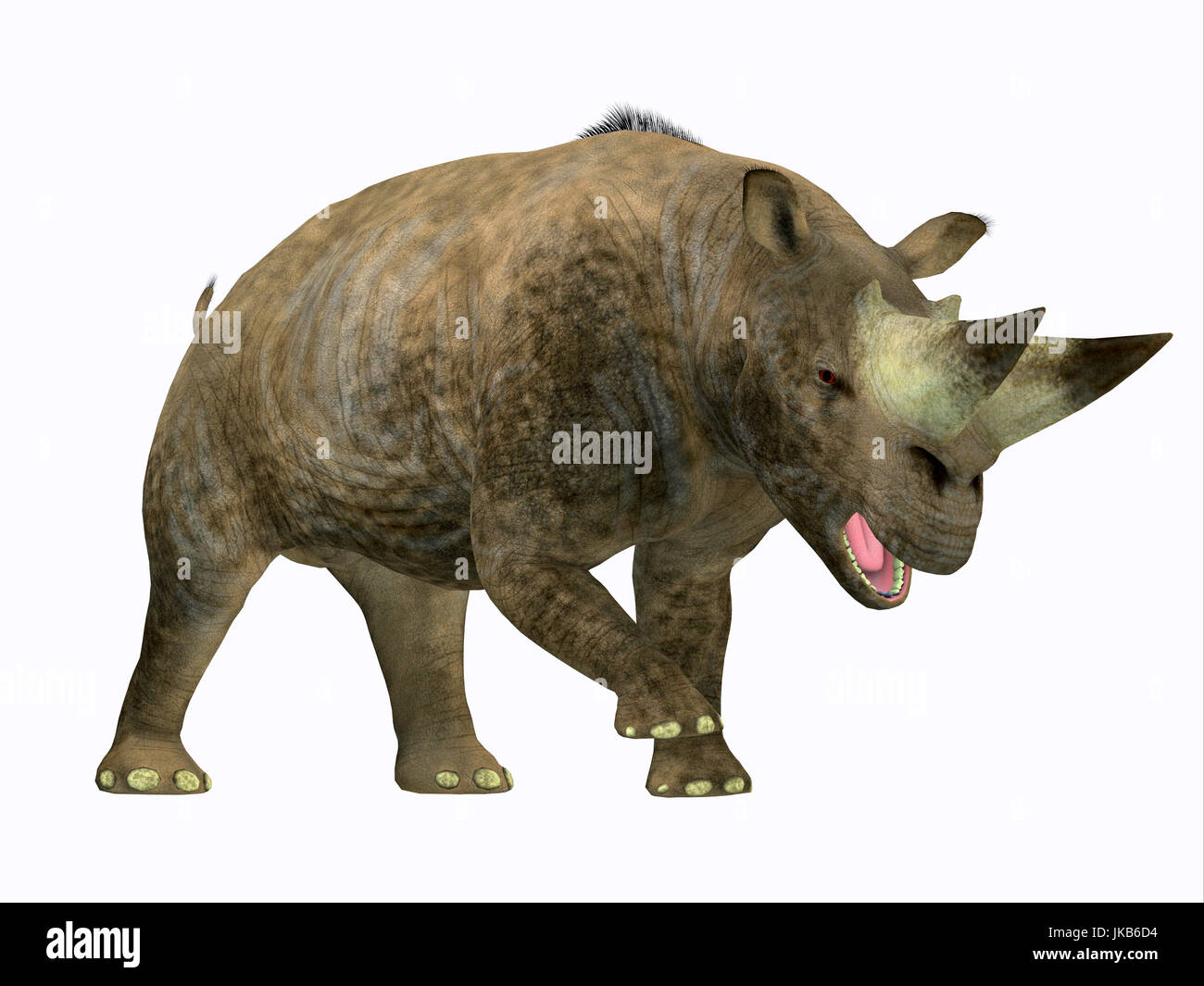 Arsinoitherium was a herbivorous rhinoceros-like mammal that lived in Africa in the Early Oligocene Period. Stock Photo