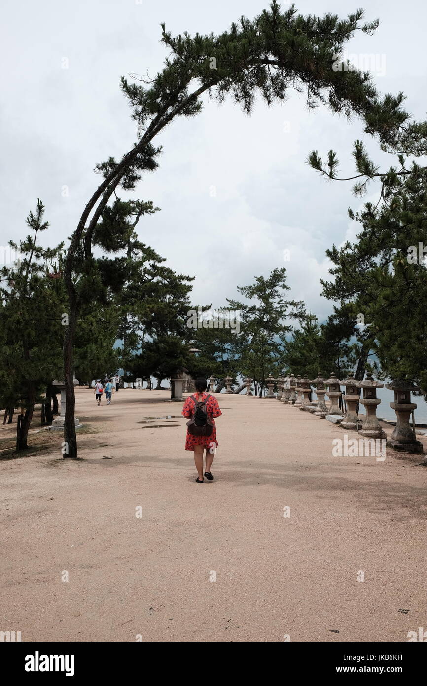 Walk under tree hi-res stock photography and images - Alamy