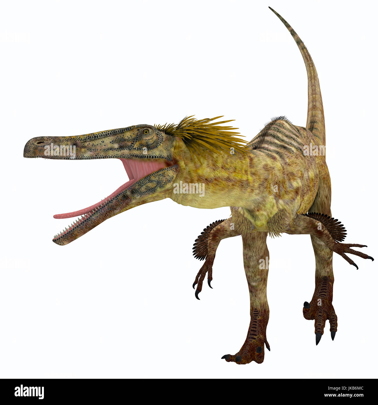 My Image 32