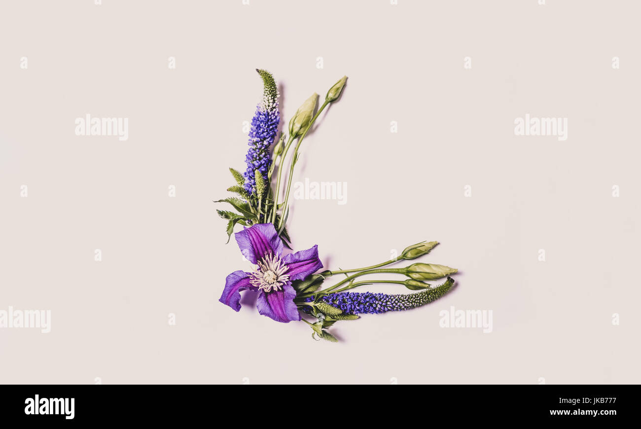 Real flower frame High Resolution Stock Photography and Images - Alamy