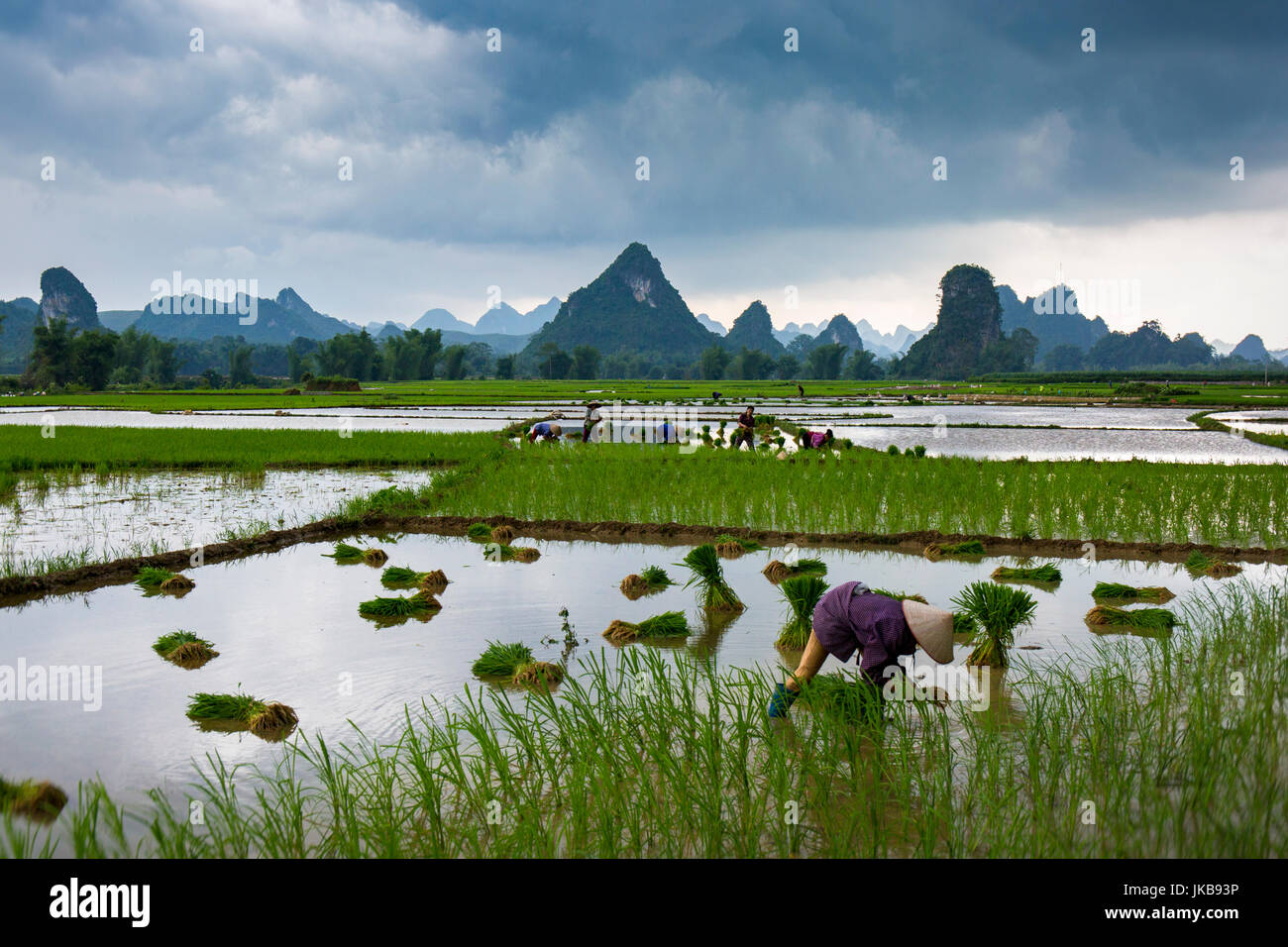 Ngoc Con field, Trung Khanh town, Cao Bang province Stock Photo