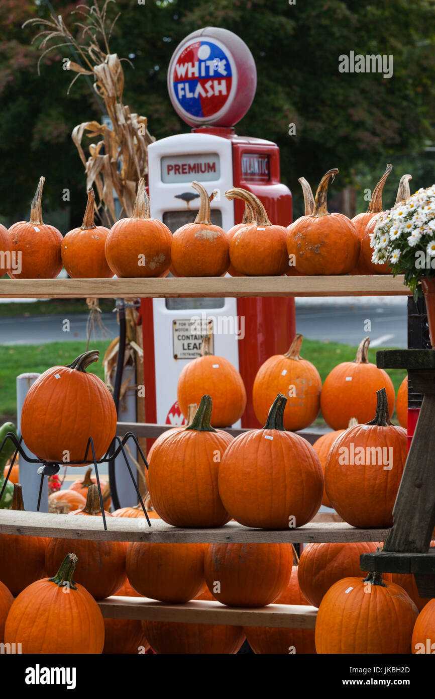 USA, Pennsylvania, Pennsylvania Dutch Country, Bird in Hand, Old