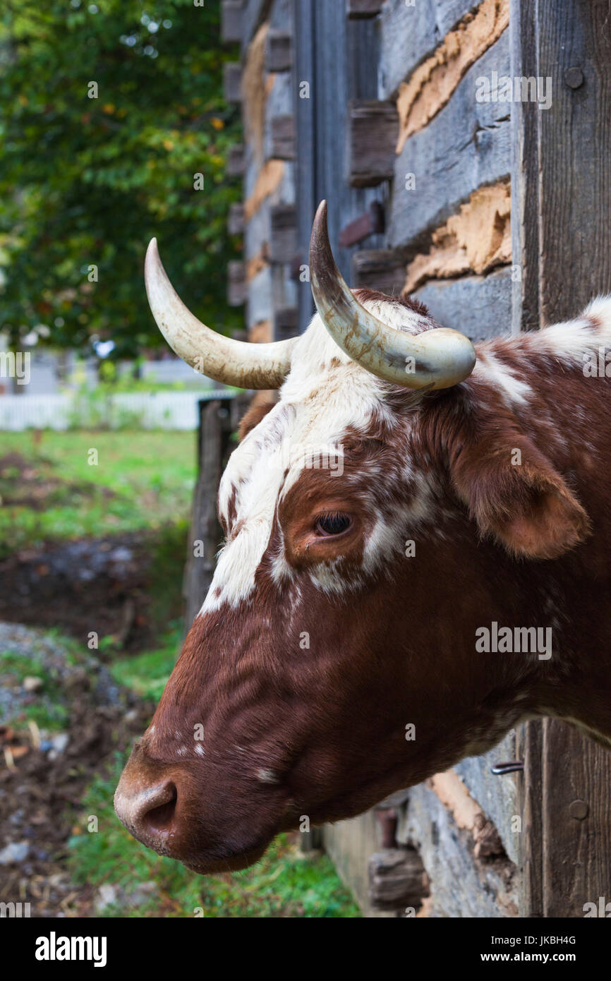 USA, Pennsylvania, Pennsylvania Dutch Country, Lancaster, Landis Valley