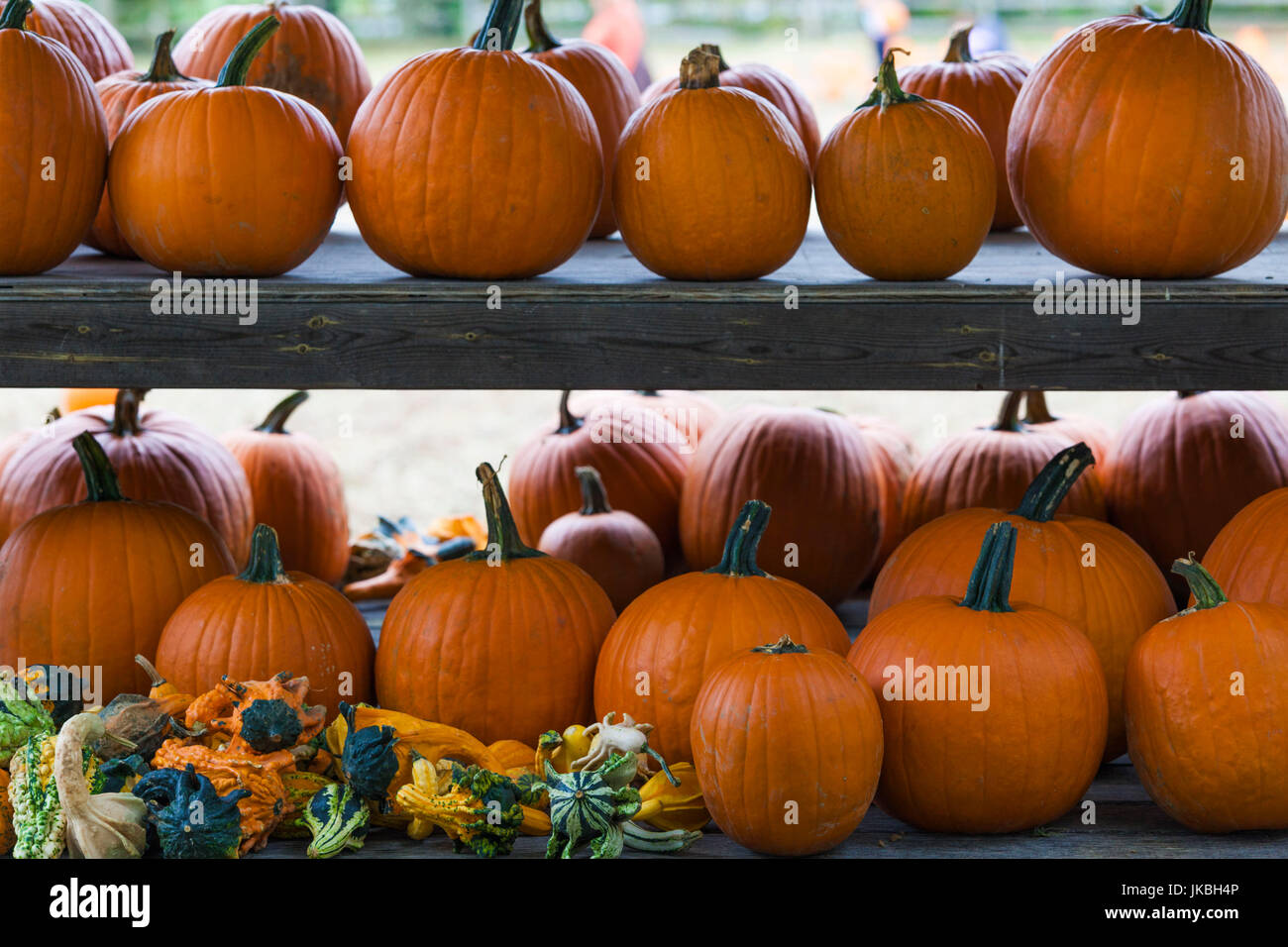 USA, Pennsylvania, Pennsylvania Dutch Country, Lancaster, Landis Valley