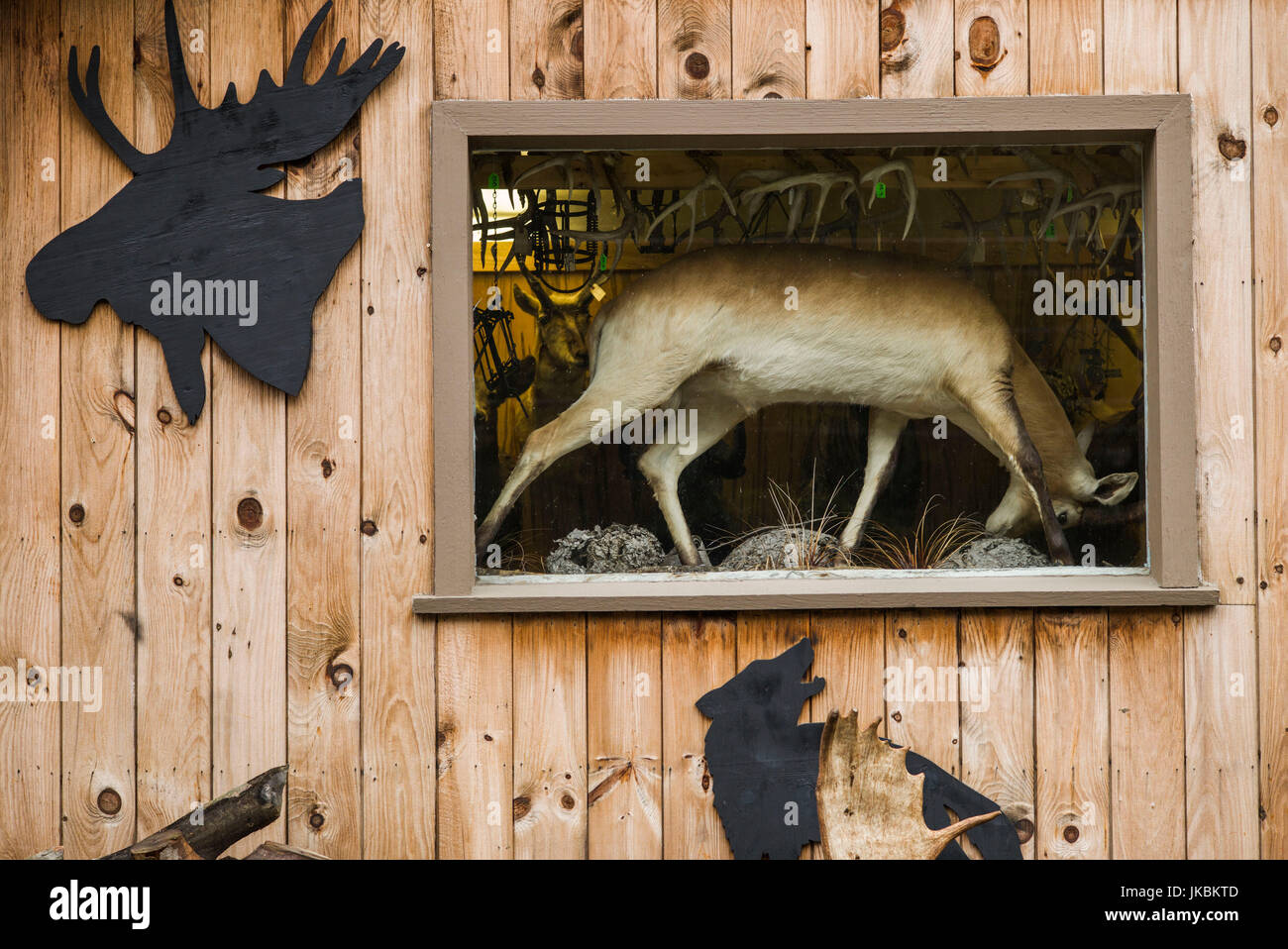 USA, Vermont, Newfane, taxidermy Shop Window Stock Photo Alamy