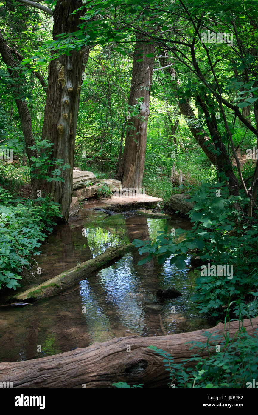 Spring Fed Creek And Forest Trails At Roman Nose State Park In Nw