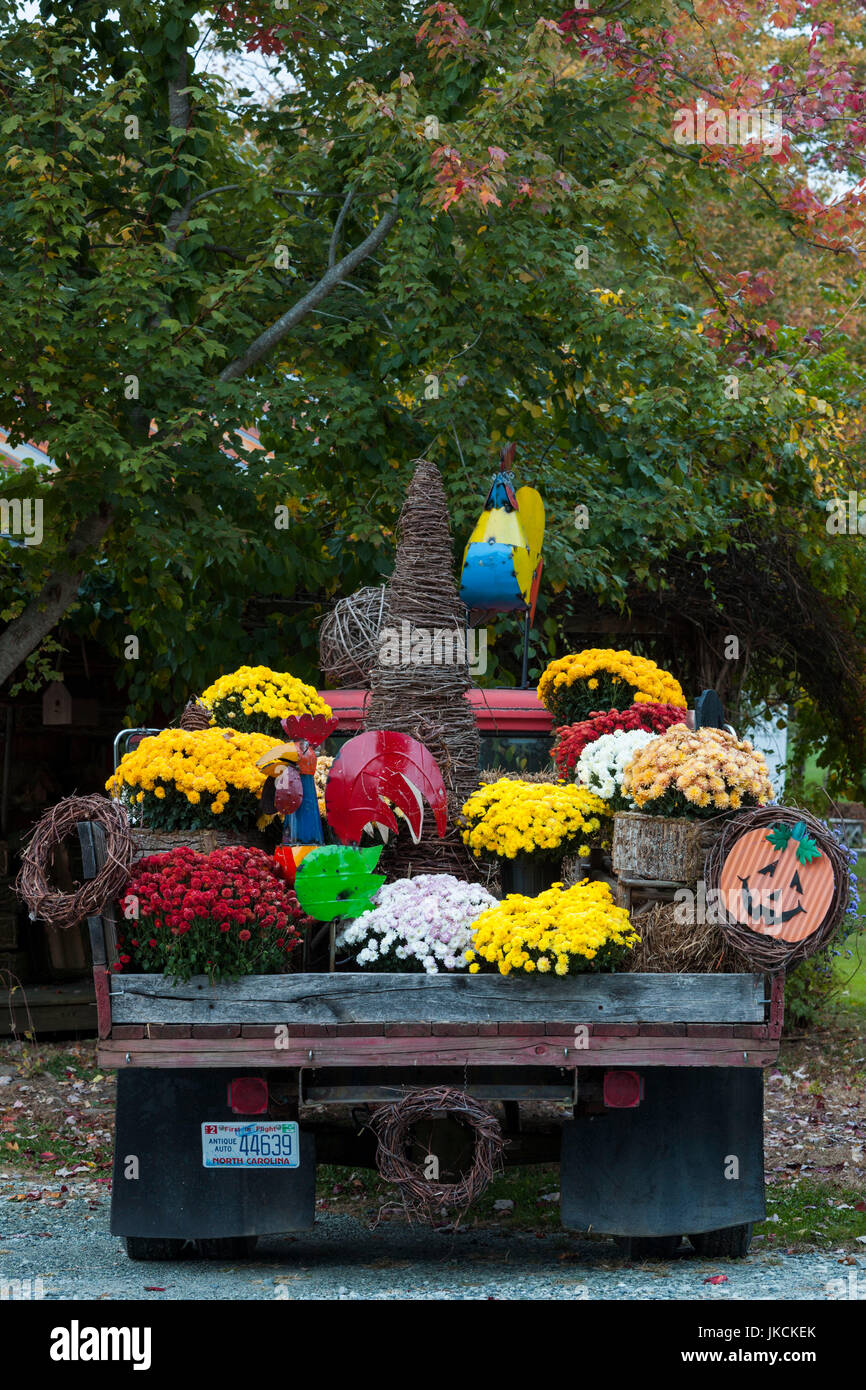 USA, North Carolina,Valle Crucis, old truck with fall flowers Stock