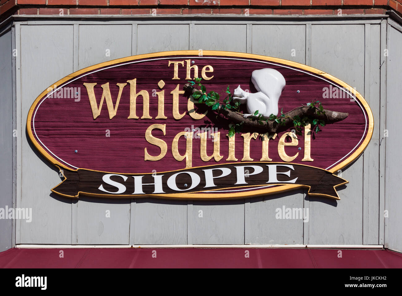 USA, North Carolina, Brevard, sign for the White Squirrel Shop, town is known for its rare white squirrels Stock Photo