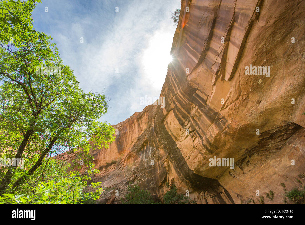 Moab Utah has plenty of geological features and interesting plants