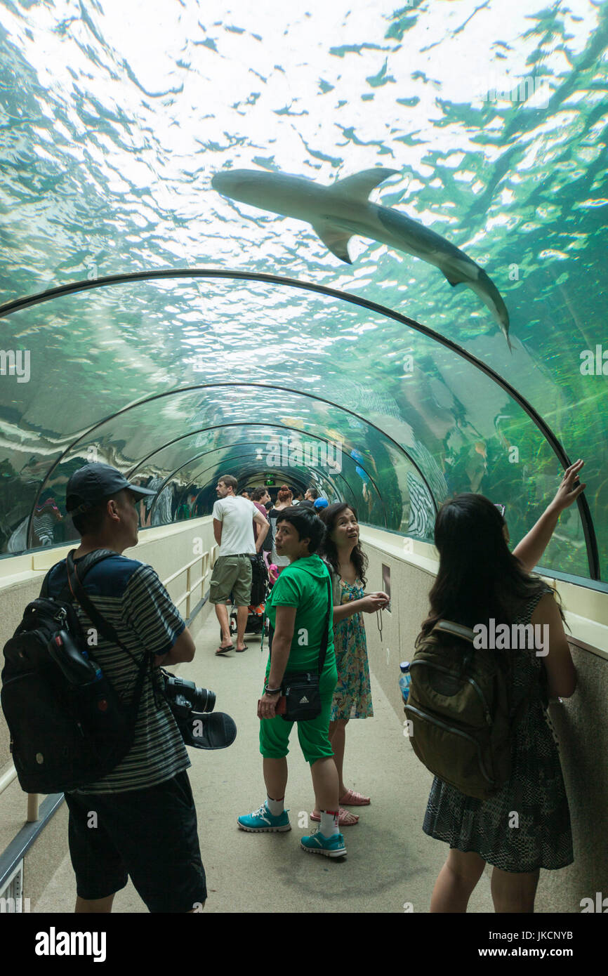 Darling harbour sydney aquarium hires stock photography and images Alamy