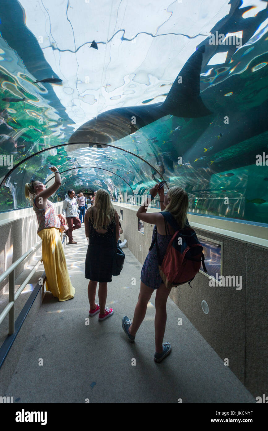 Darling harbour sydney aquarium hires stock photography and images Alamy