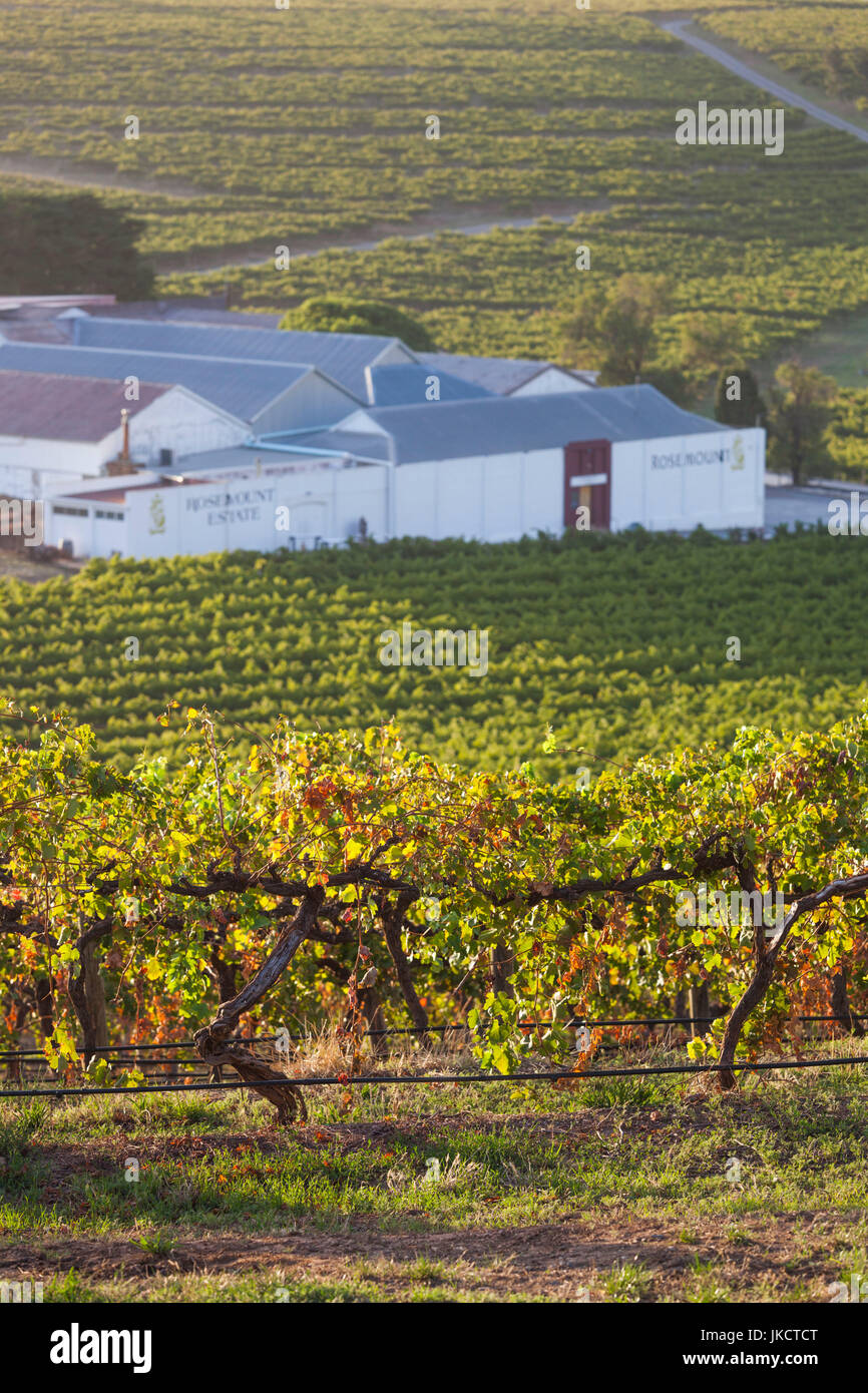 Australia, South Australia, Fleurieu Peninsula, McLaren Vale Wine