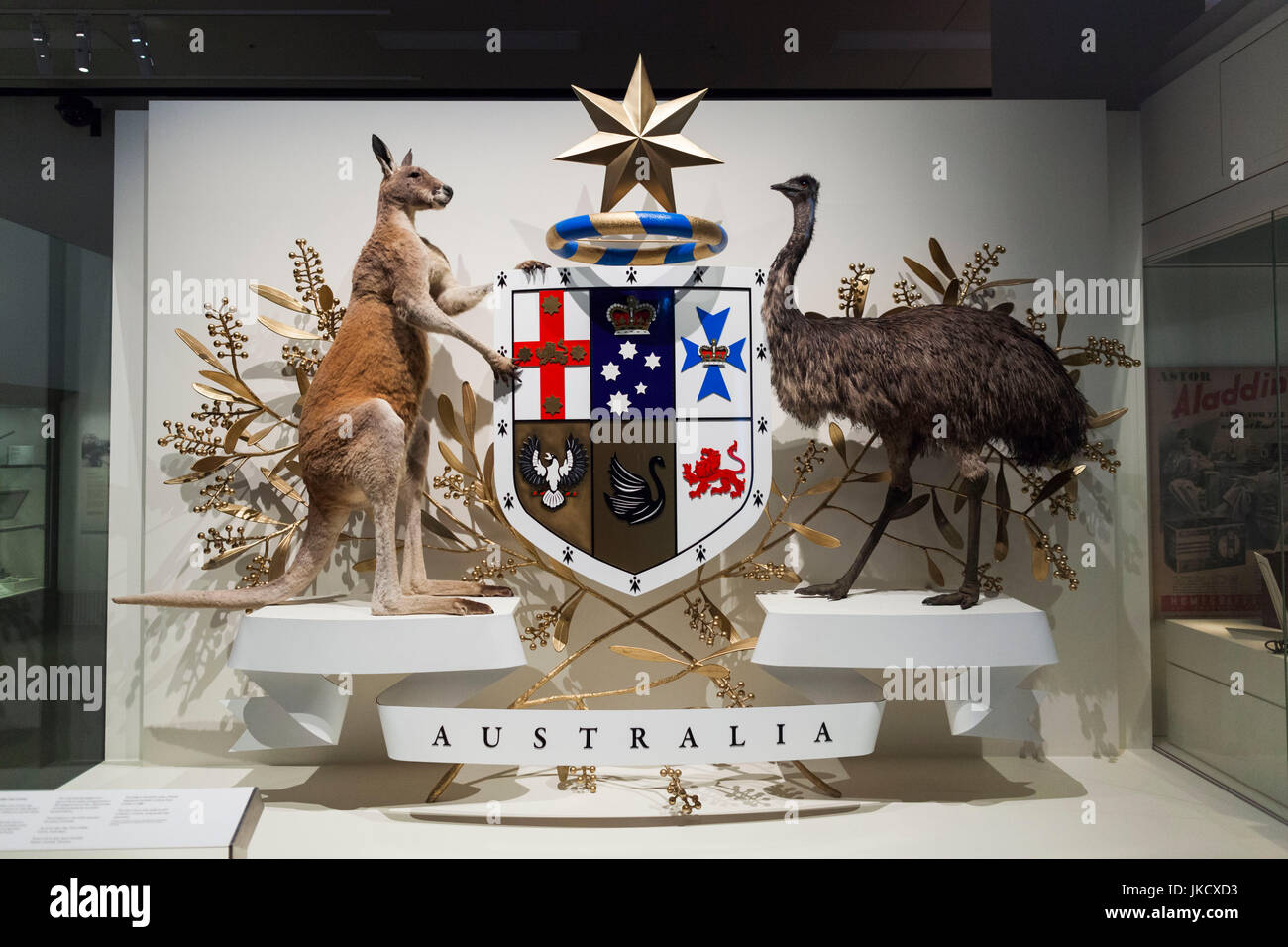 Australia, Victoria, VIC, Melbourne, Carlton, Melbourne Museum, life-size diorama of Australian National seal Stock Photo