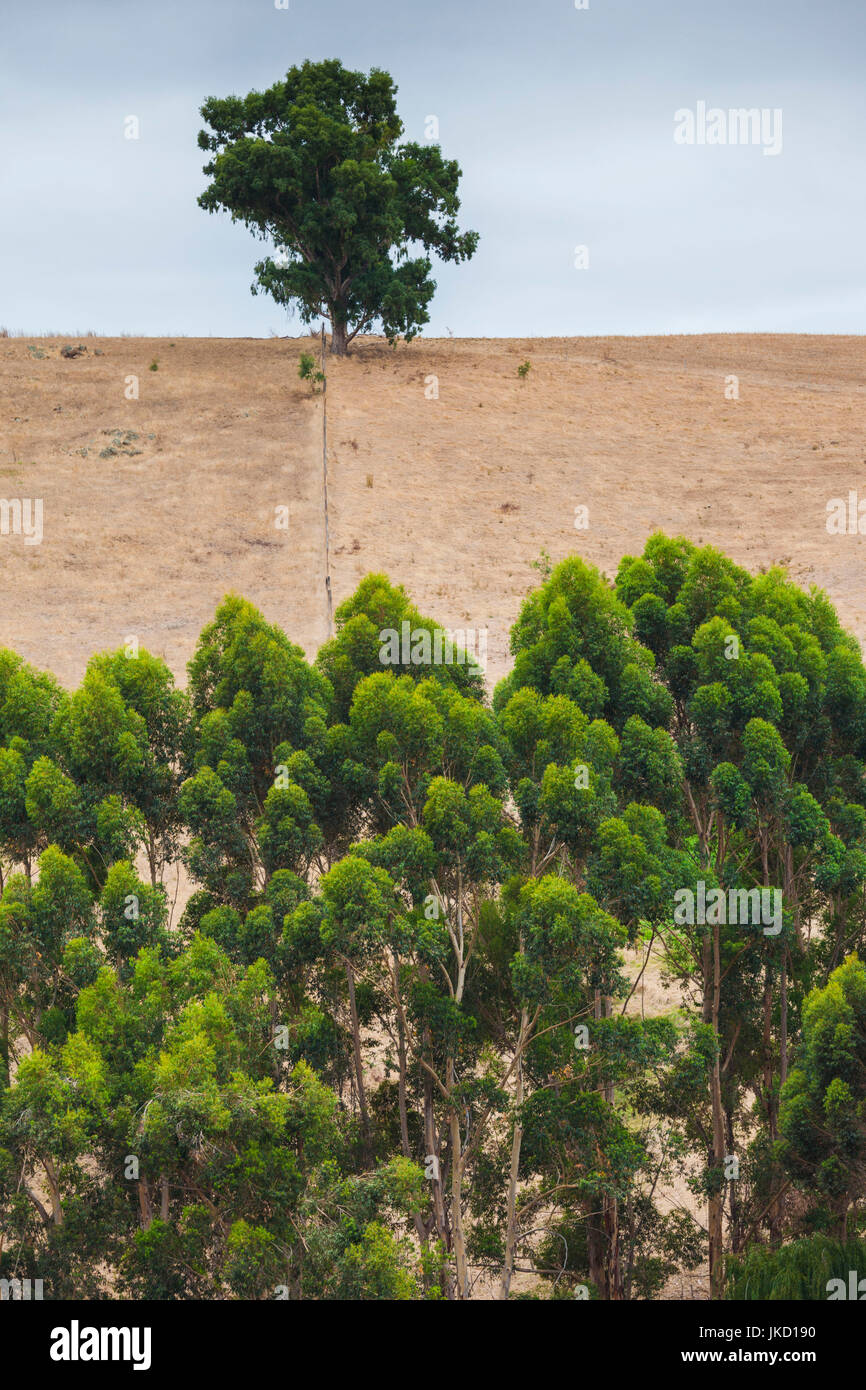 Australia, Western Australia, The Southwest, Bridgetown, landscape