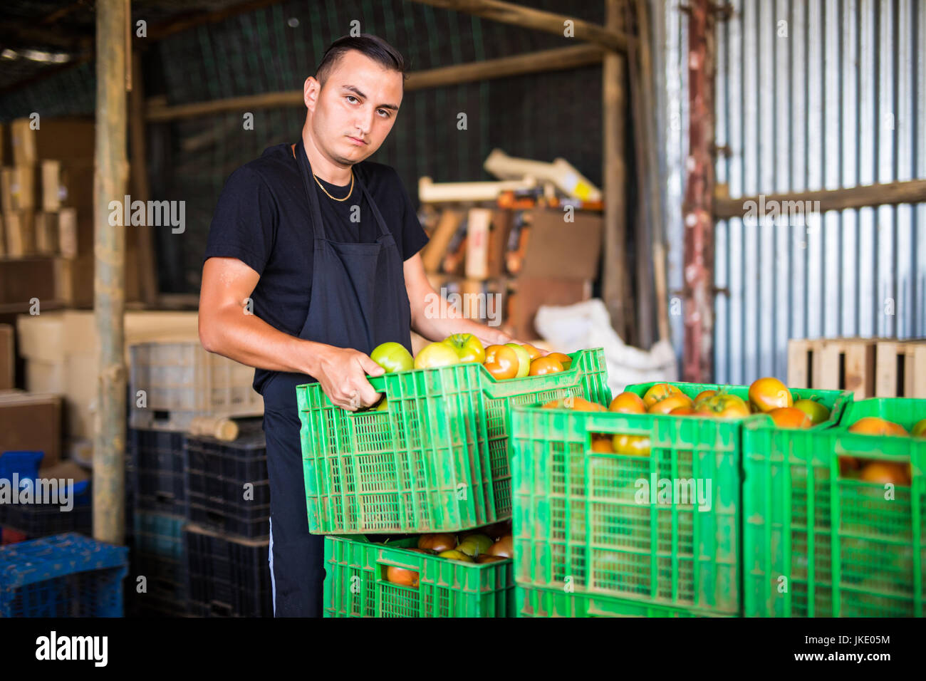 Happy organic farmer carrying tomatoes in a greenhouse Stock Photo - Alamy