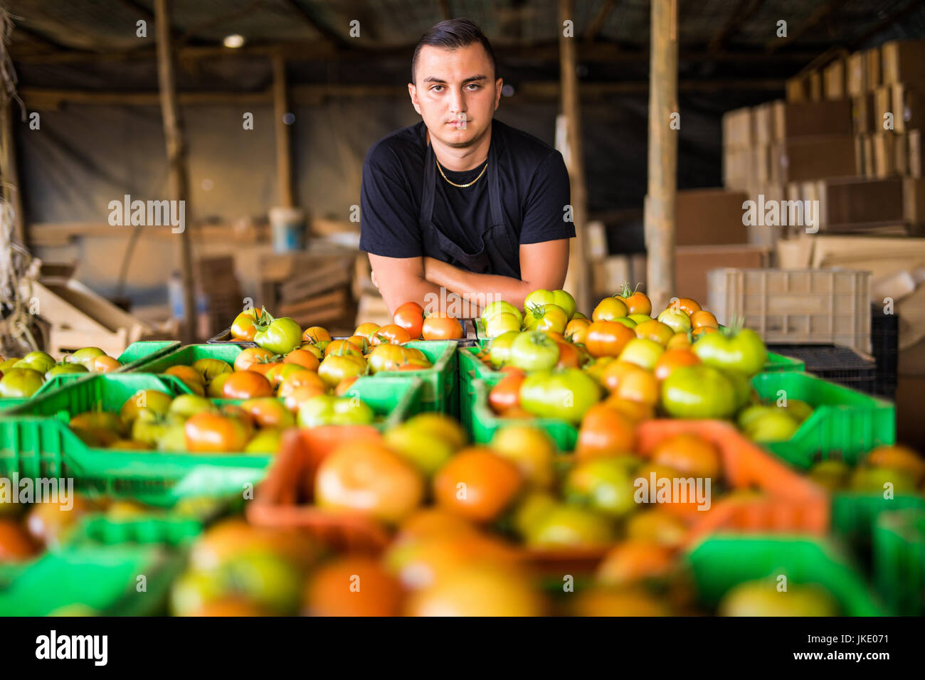 Happy organic farmer carrying tomatoes in a greenhouse Stock Photo - Alamy