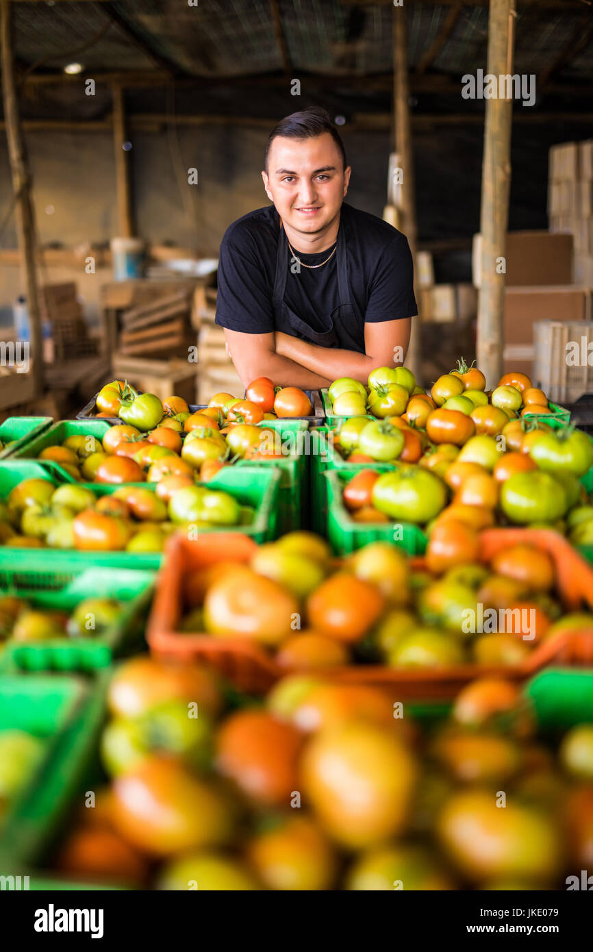 Happy organic farmer carrying tomatoes in a greenhouse Stock Photo - Alamy