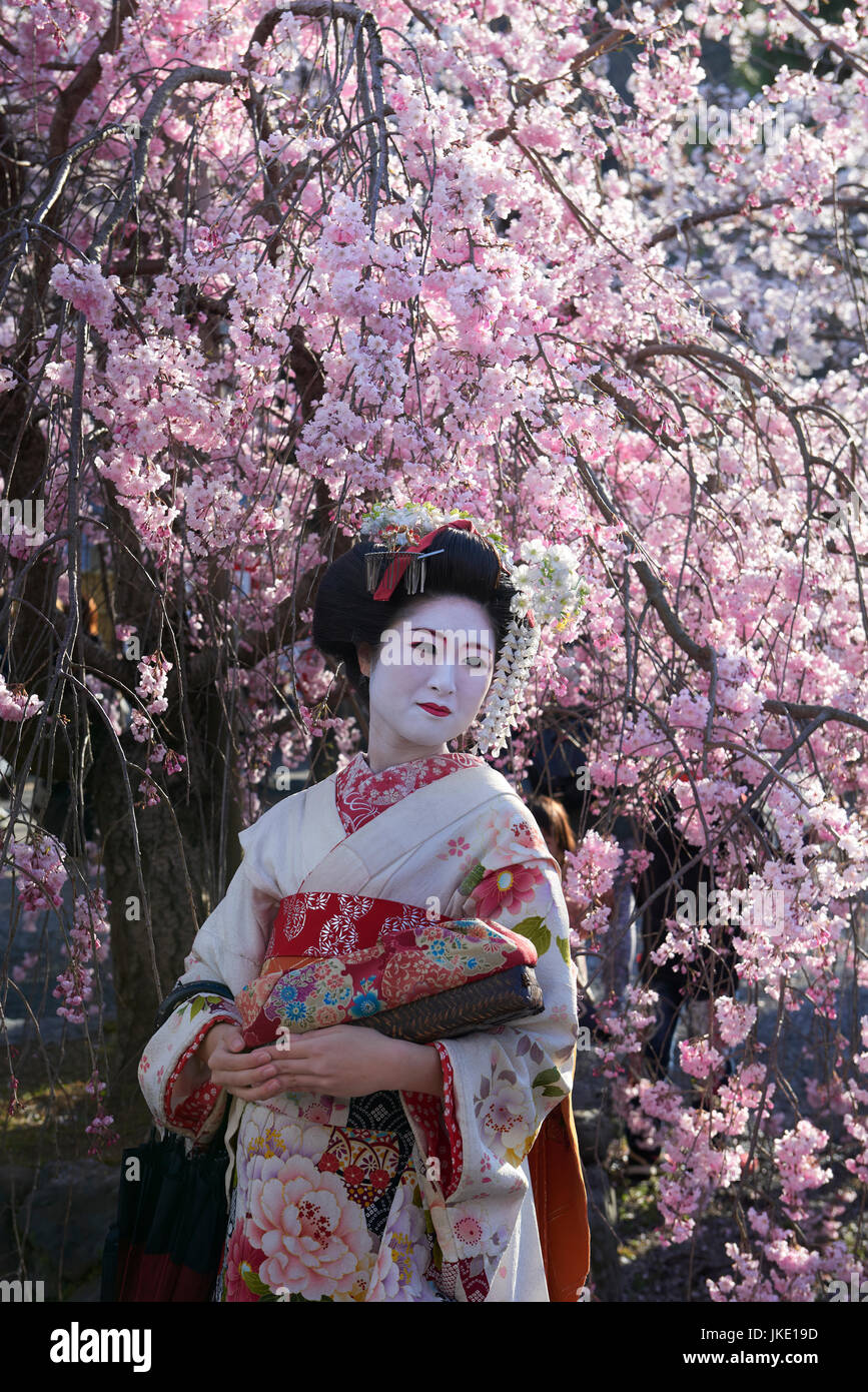 Japanese woman wearing kimono with Sakura background Stock Photo Alamy