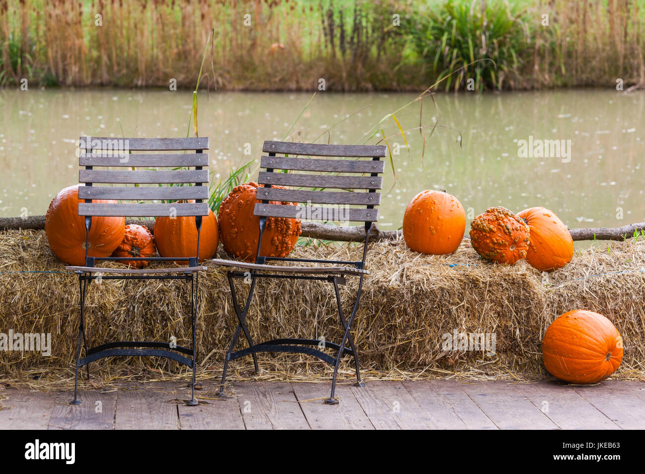 Germany, Baden-Wuerttemberg, Ludwigsburg, Bluehendes Barock Gardens, fall festival, pumpkins Stock Photo