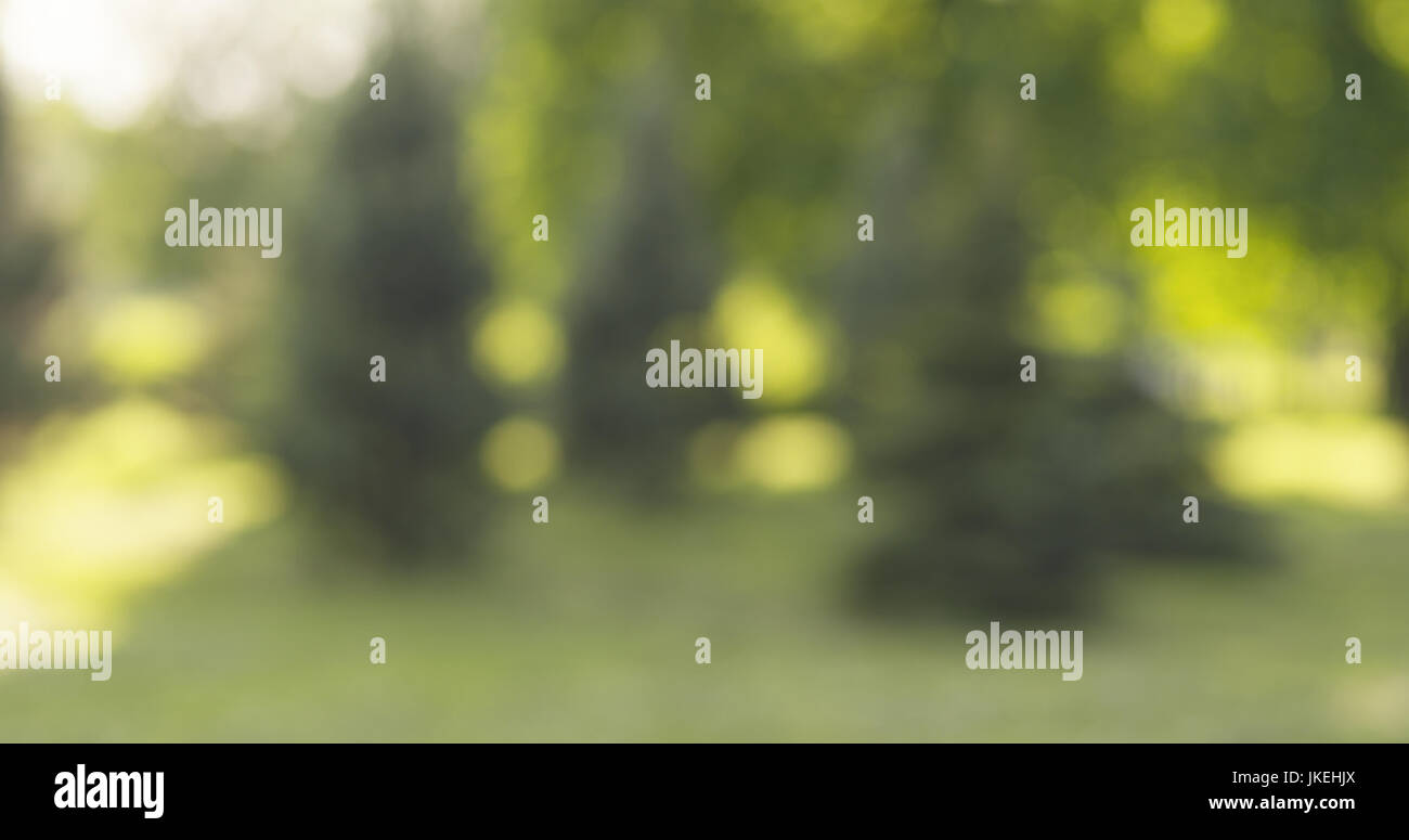 real lens blur of trees in sunny day Stock Photo