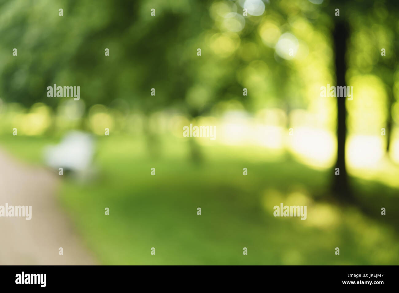 abstract blurred background of city park in sunny summer day Stock Photo