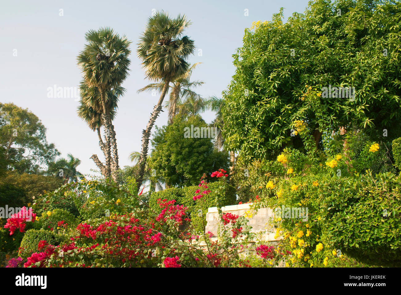 Aegypten, Assuan, Botanischer Garten auf der KitchenerInsel Stock