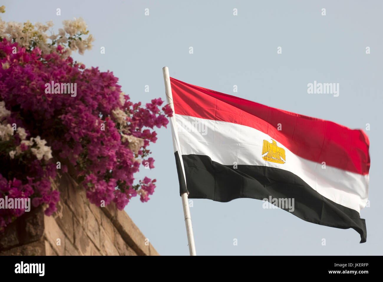 Ägypten, Assuan, ägyptische Fahne im Botanischen Garten auf der Kitchener-Insel Stock Photo